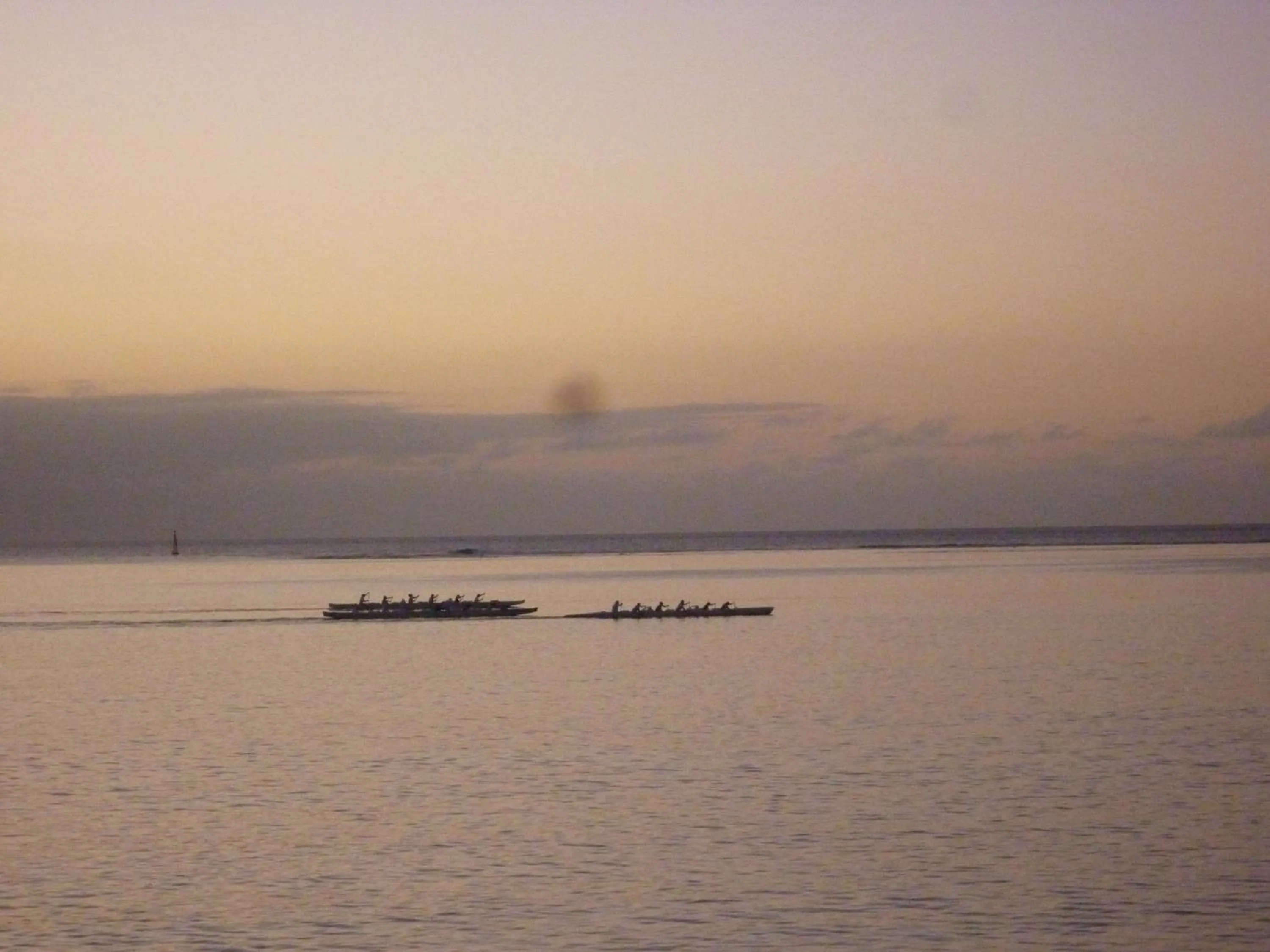 View (from property/room) in Royal Tahitien