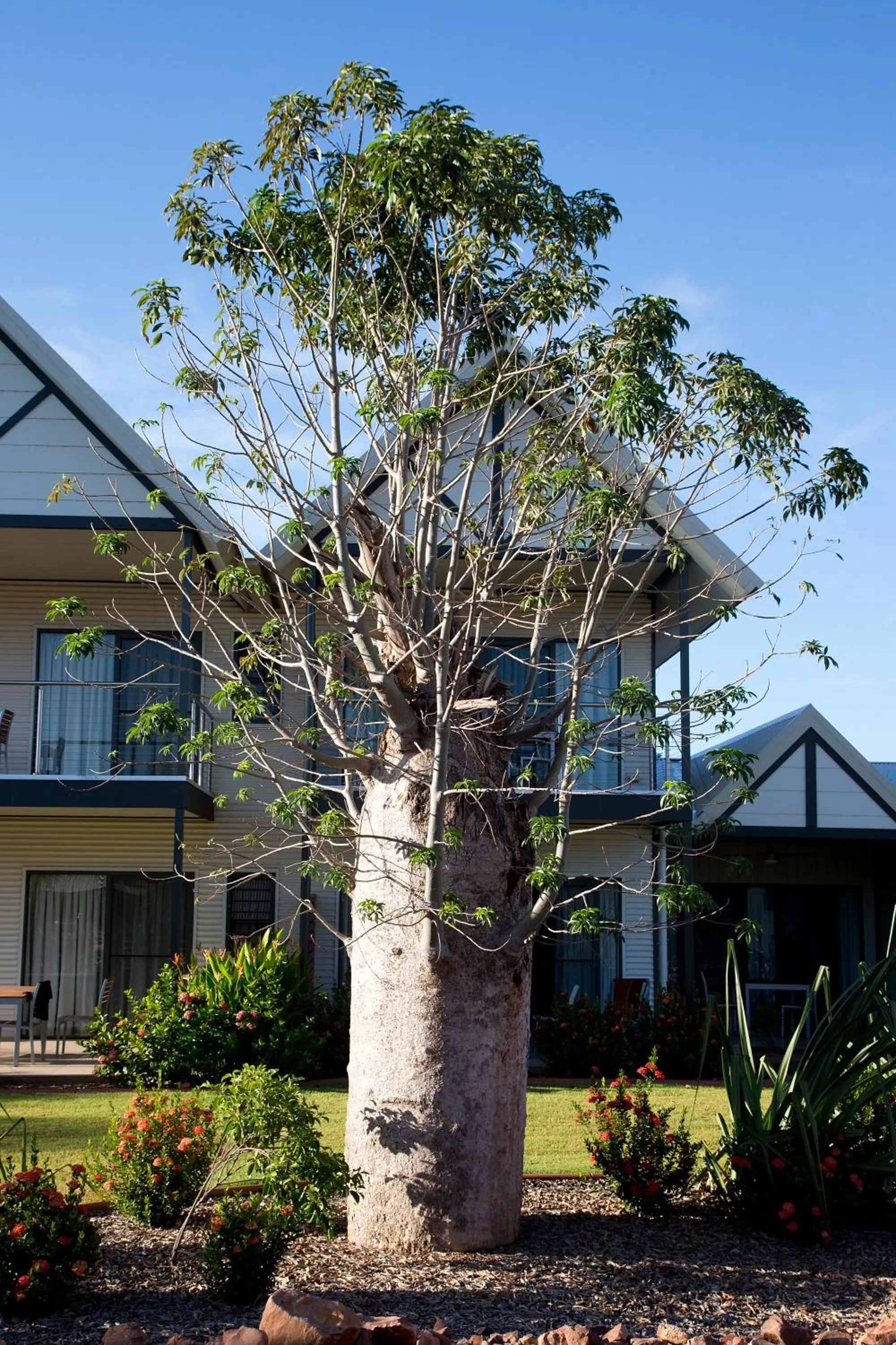 Property building in Freshwater East Kimberley Apartments