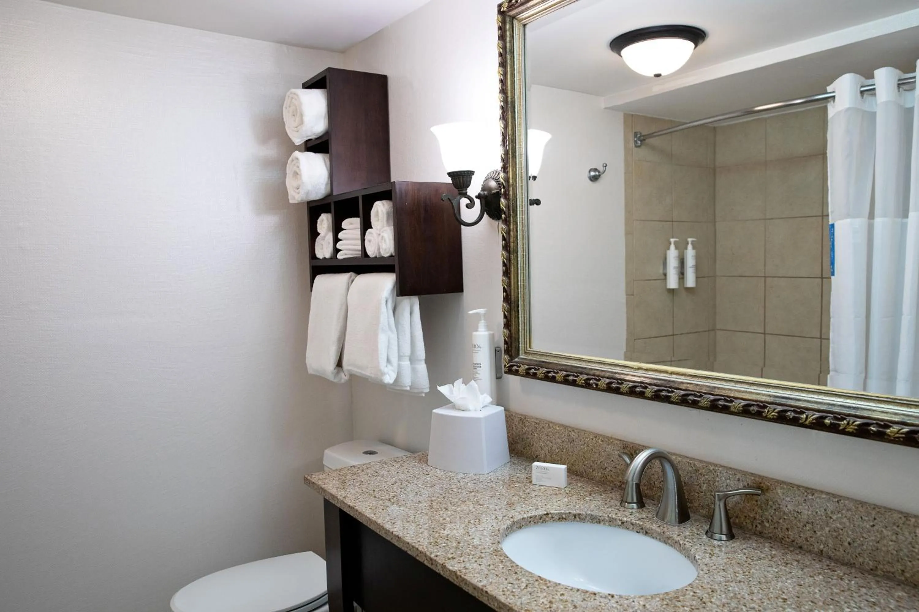 Bathroom in Hampton Inn Charleston-Historic District