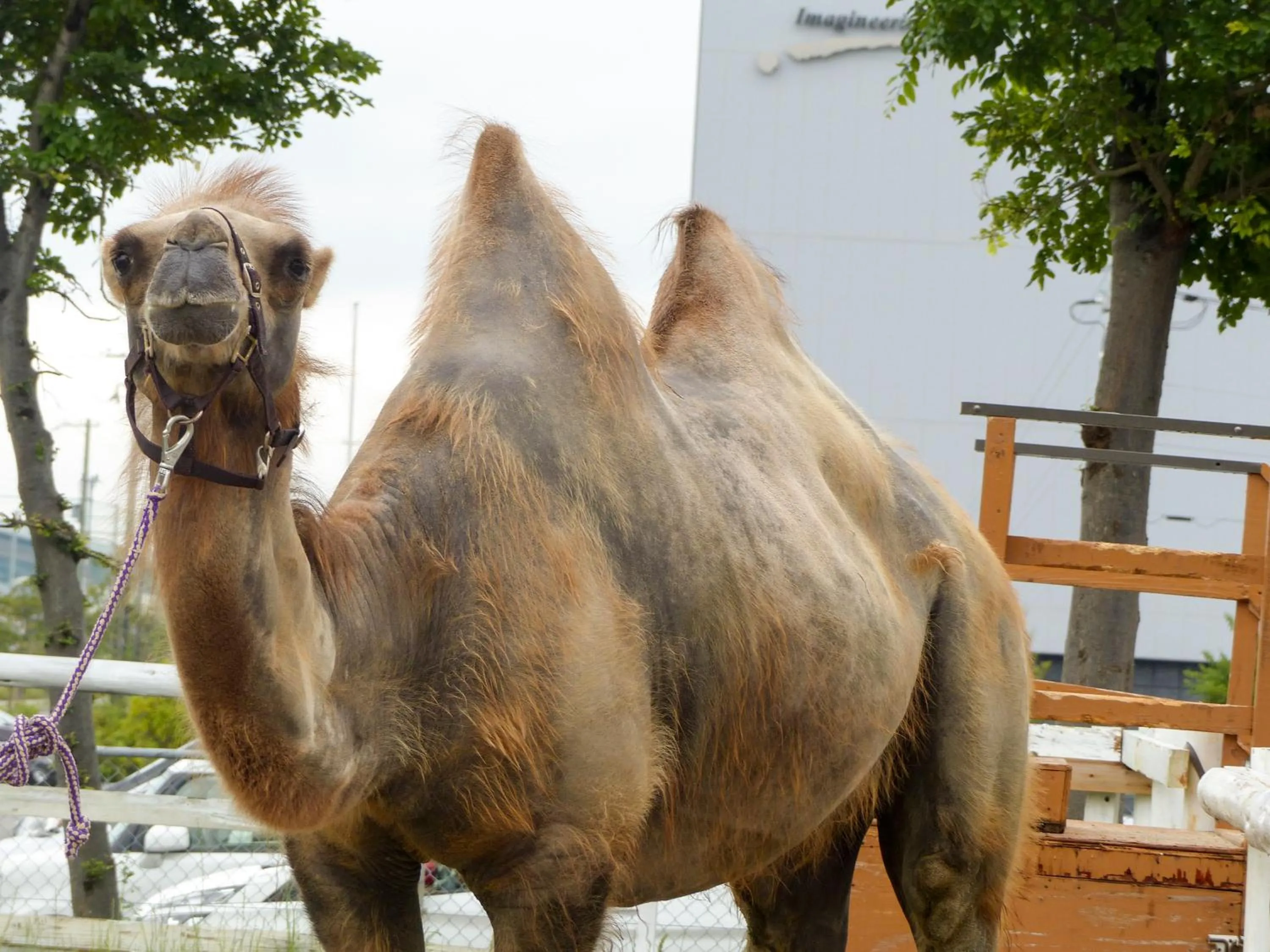 Nearby landmark in KOKO HOTEL Kobe Shinnagata - formerly Hotel Wing International Kobe - Shinnagata Ekimae