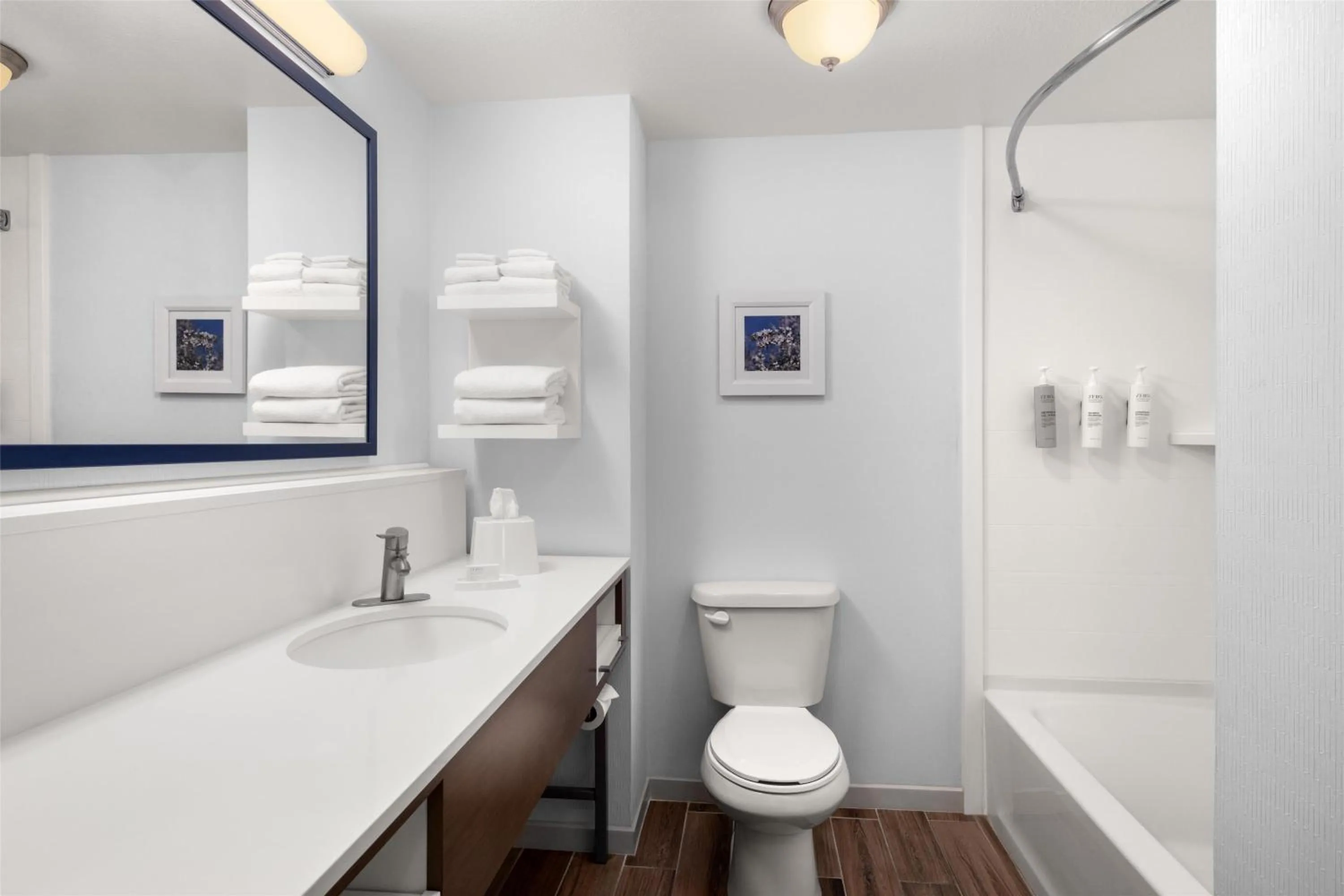 Bathroom in Hampton Inn & Suites Fresno