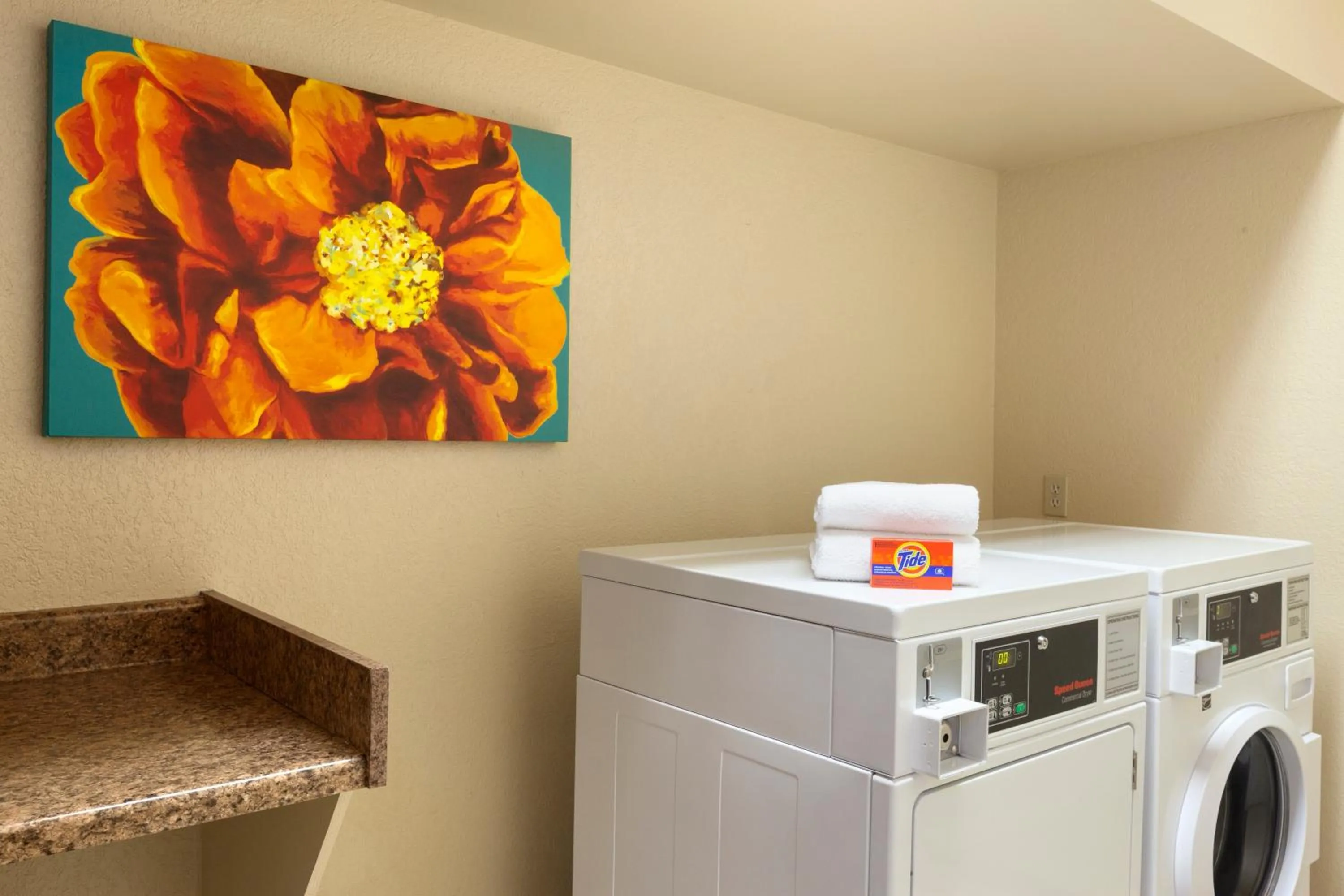 Area and facilities, Kitchen/Kitchenette in Country Inn & Suites by Radisson, Corpus Christi, TX