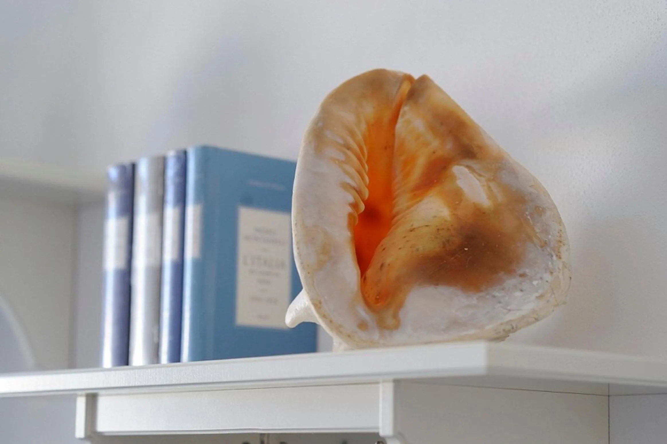 Lobby or reception in A Babordo B&B