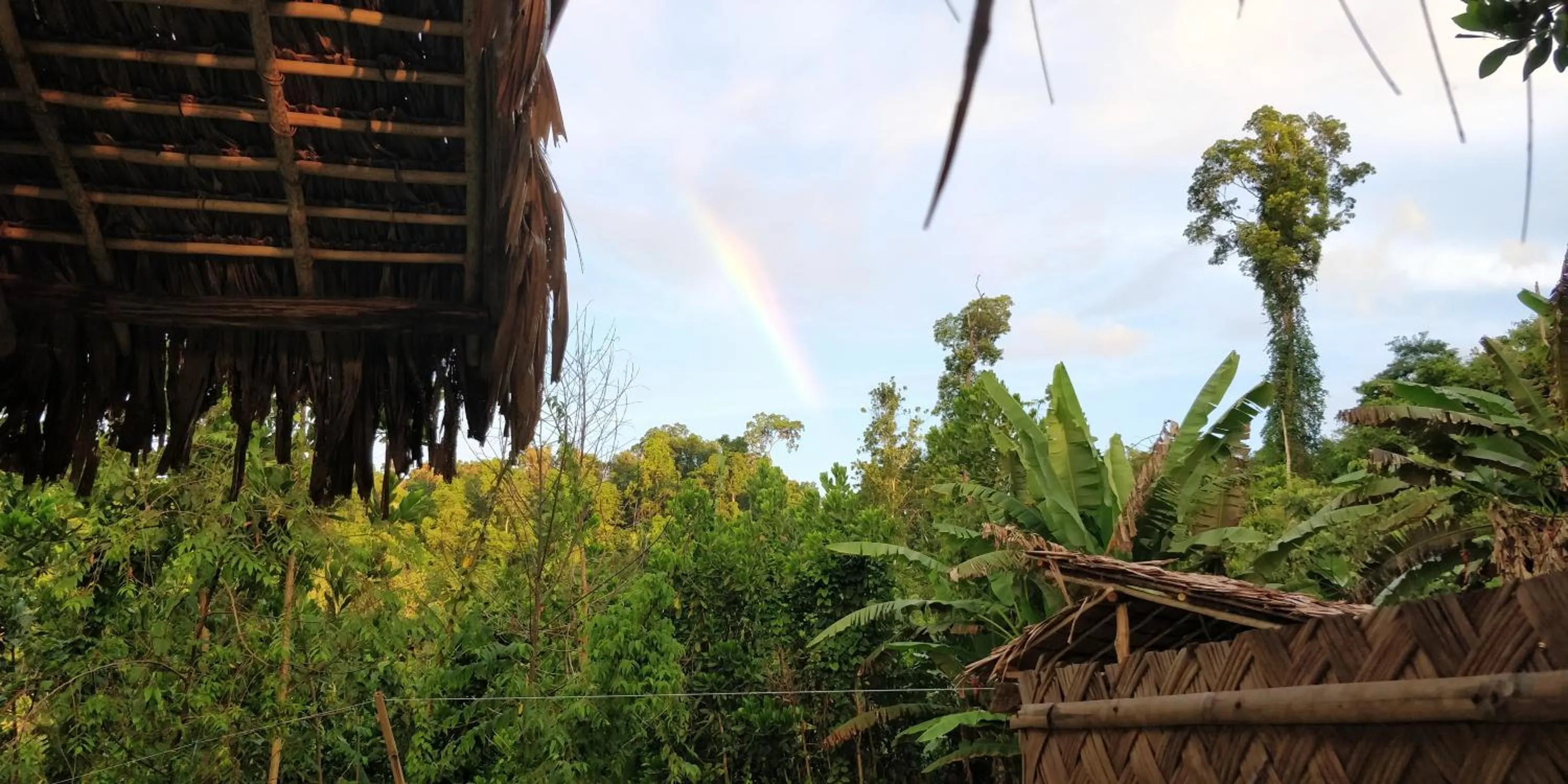 Restaurant/places to eat in Jungle bar Resto & Cottages