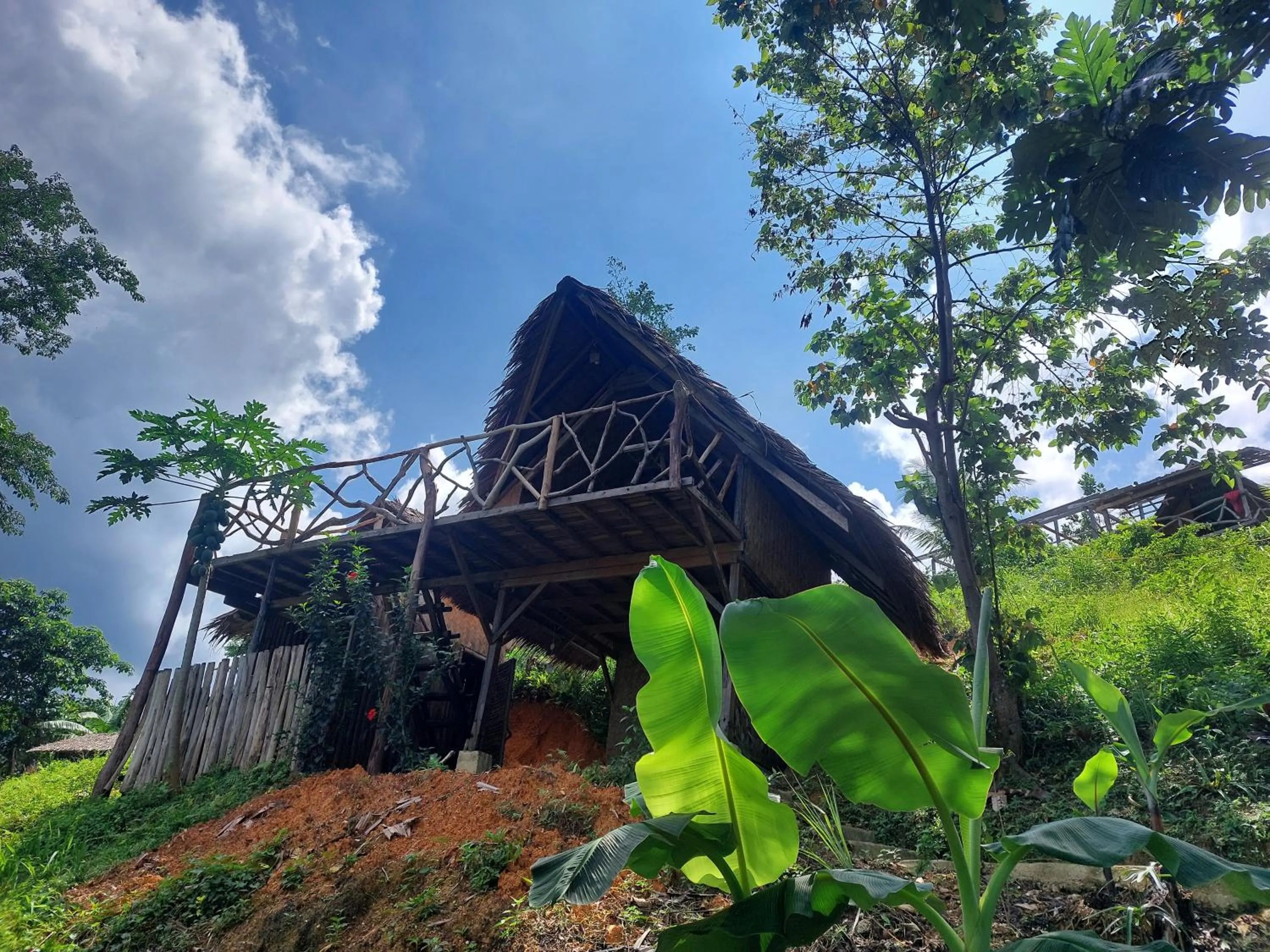Property building in Jungle bar Resto & Cottages