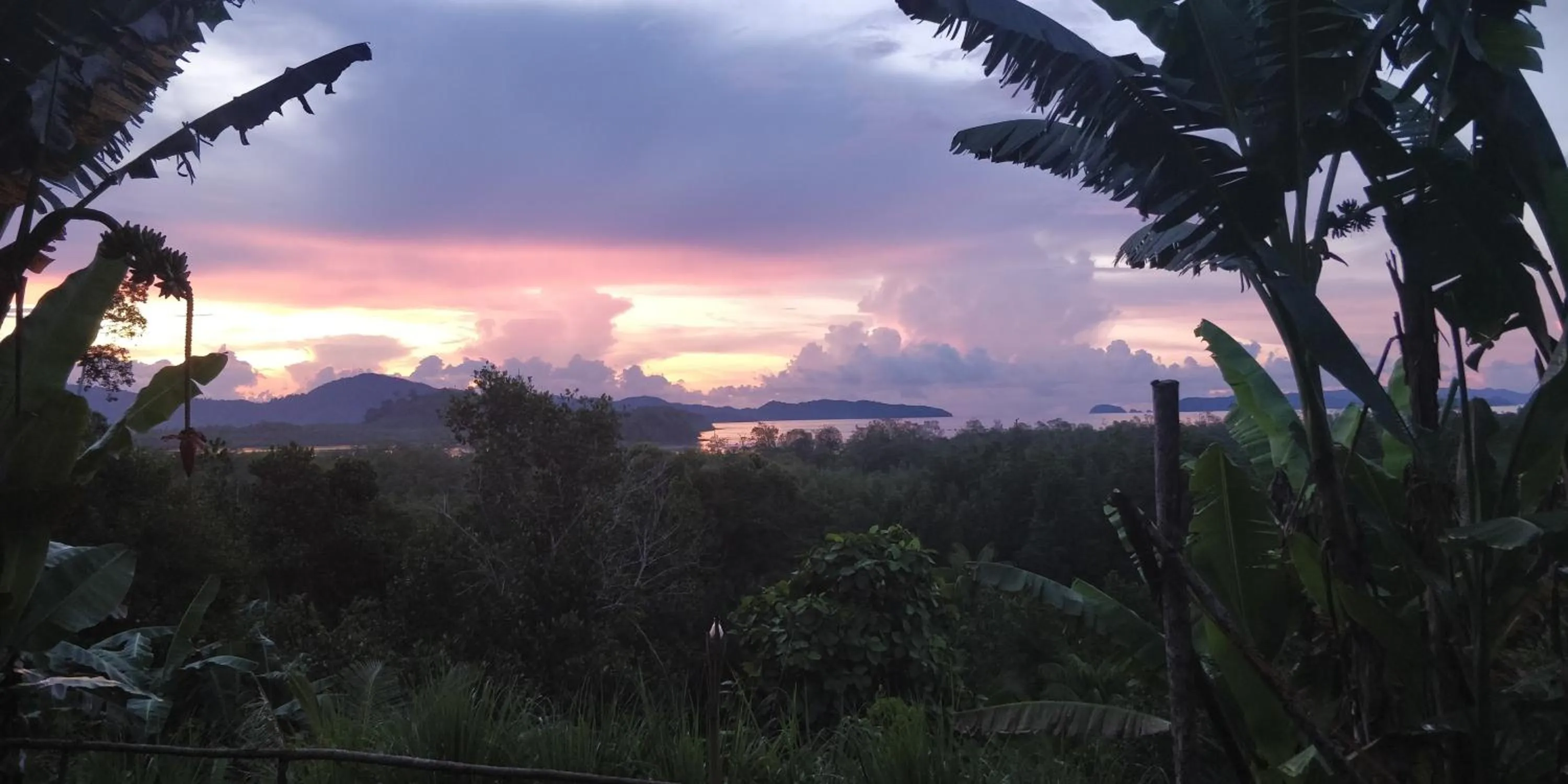 Restaurant/places to eat in Jungle bar Resto & Cottages