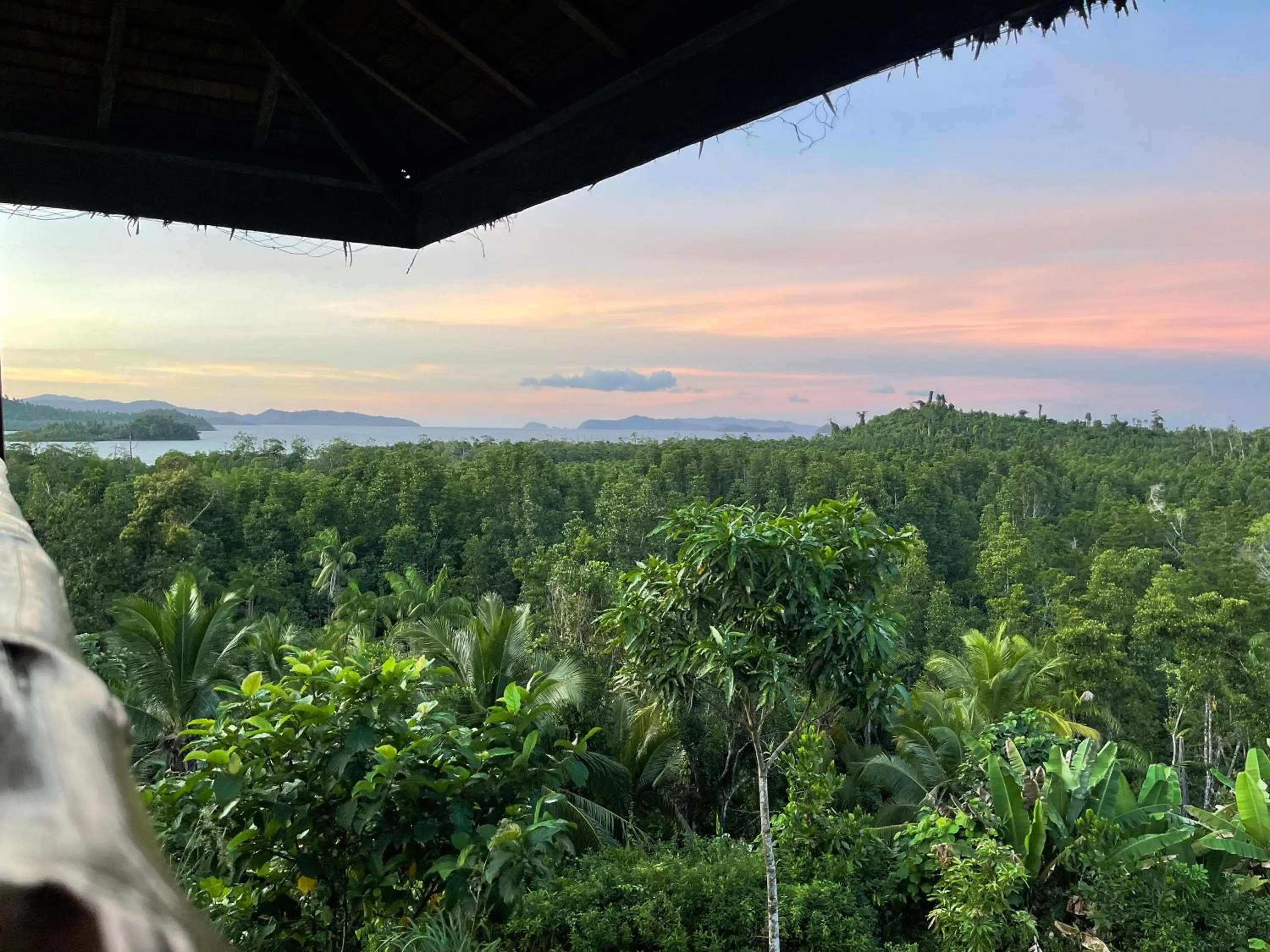 Natural landscape in Jungle bar Resto & Cottages