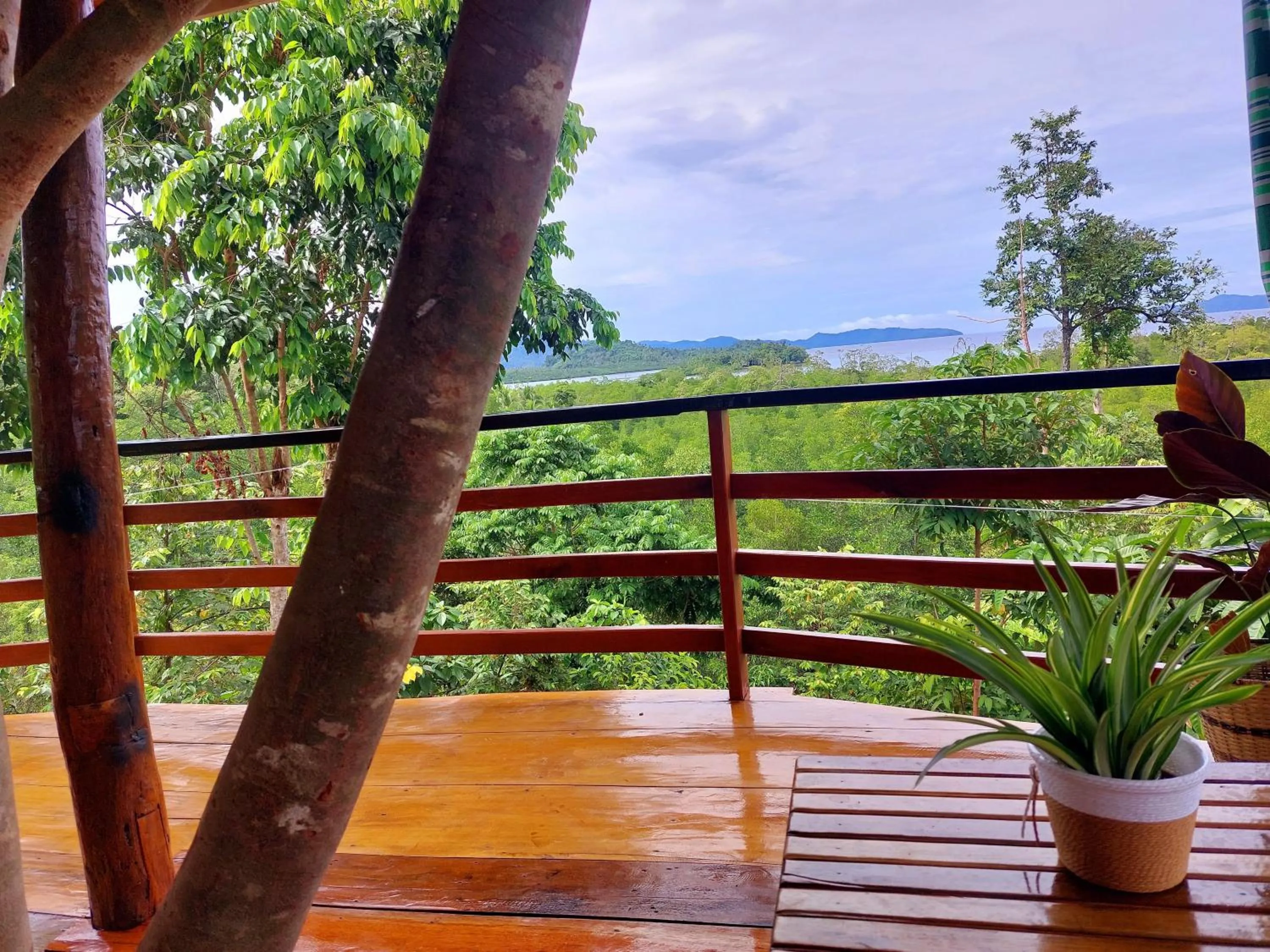 Natural landscape in Jungle bar Resto & Cottages