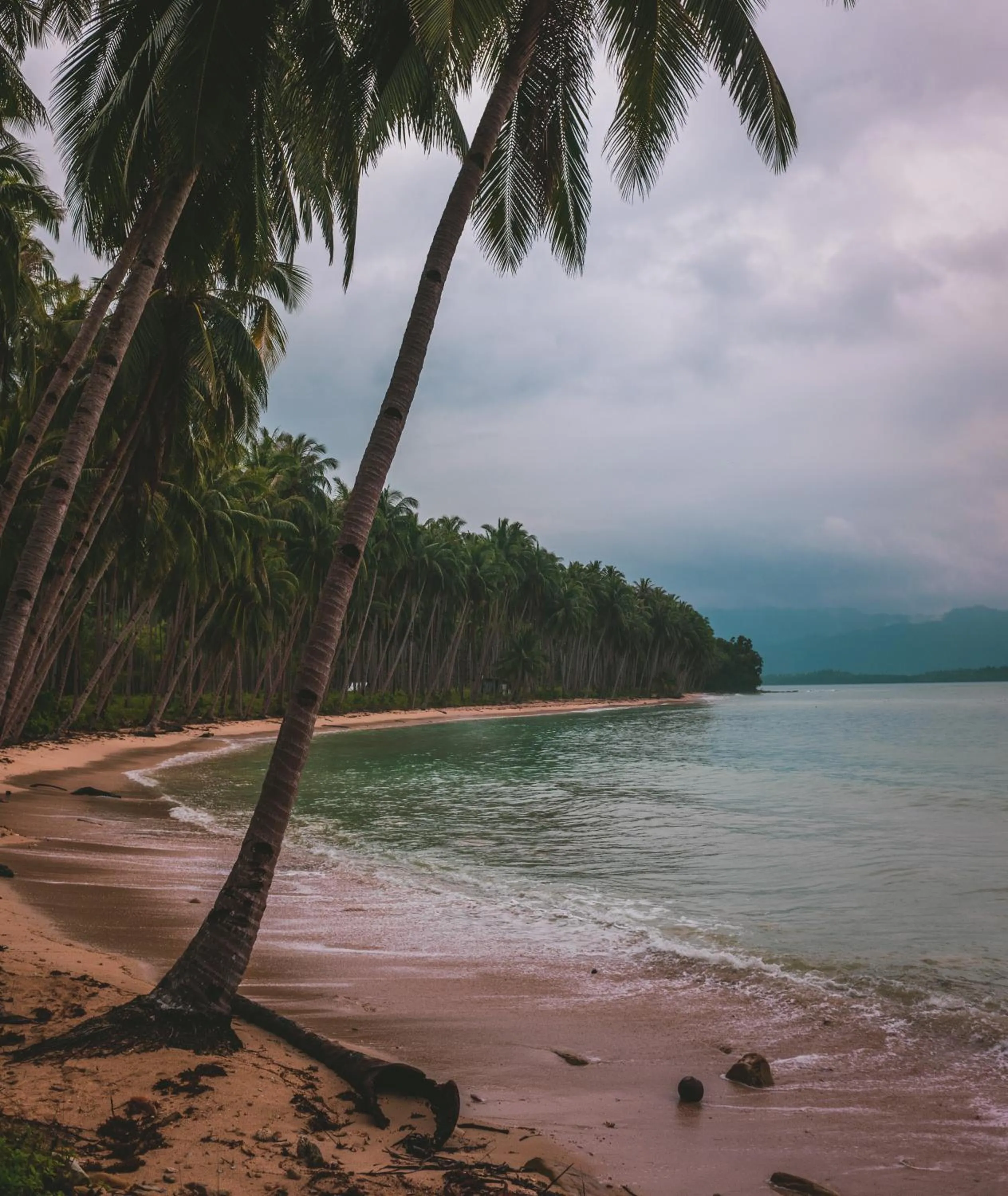 Nearby landmark in Jungle bar Resto & Cottages