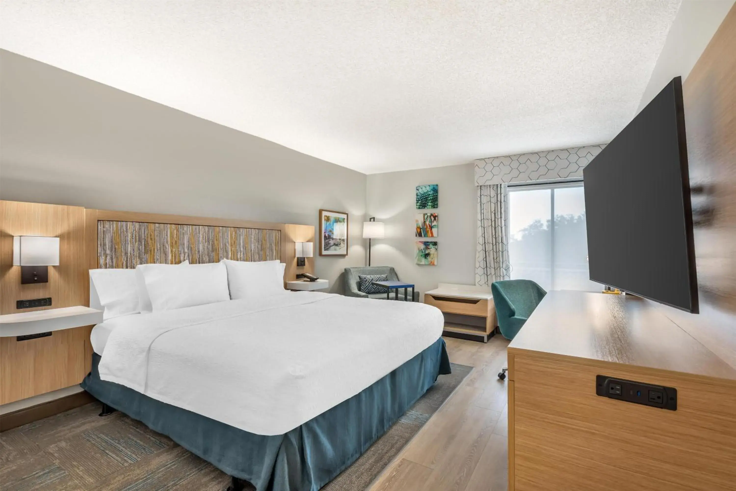 King Room with Roll-In Shower - Mobility and Hearing Access/Non-Smoking in Hampton Inn Fort Myers-Airport & I-75 King Room with Roll-In Shower - Mobility and Hearing Access/Non-Smoking in Hampton Inn Fort Myers-Airport & I-75