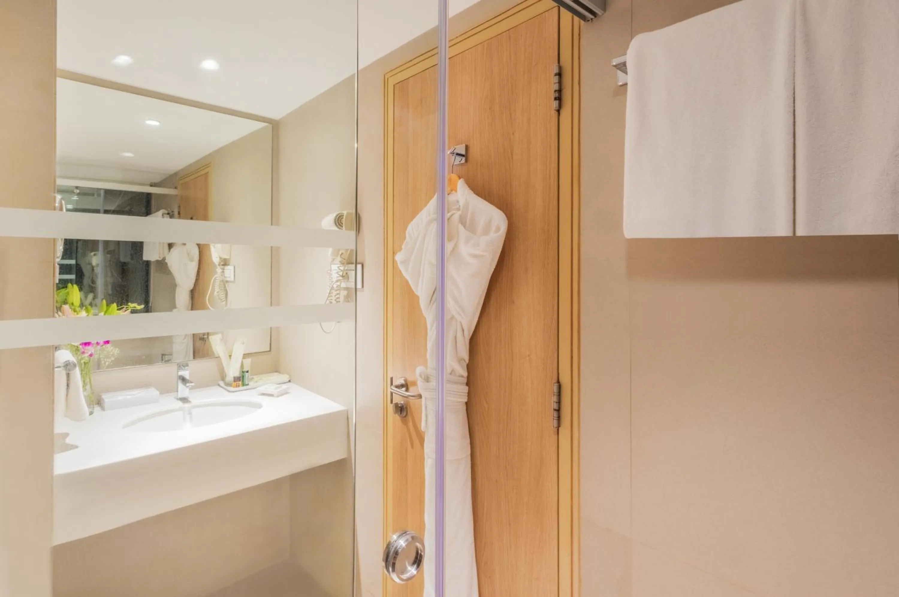 Bathroom in Sayaji Pune