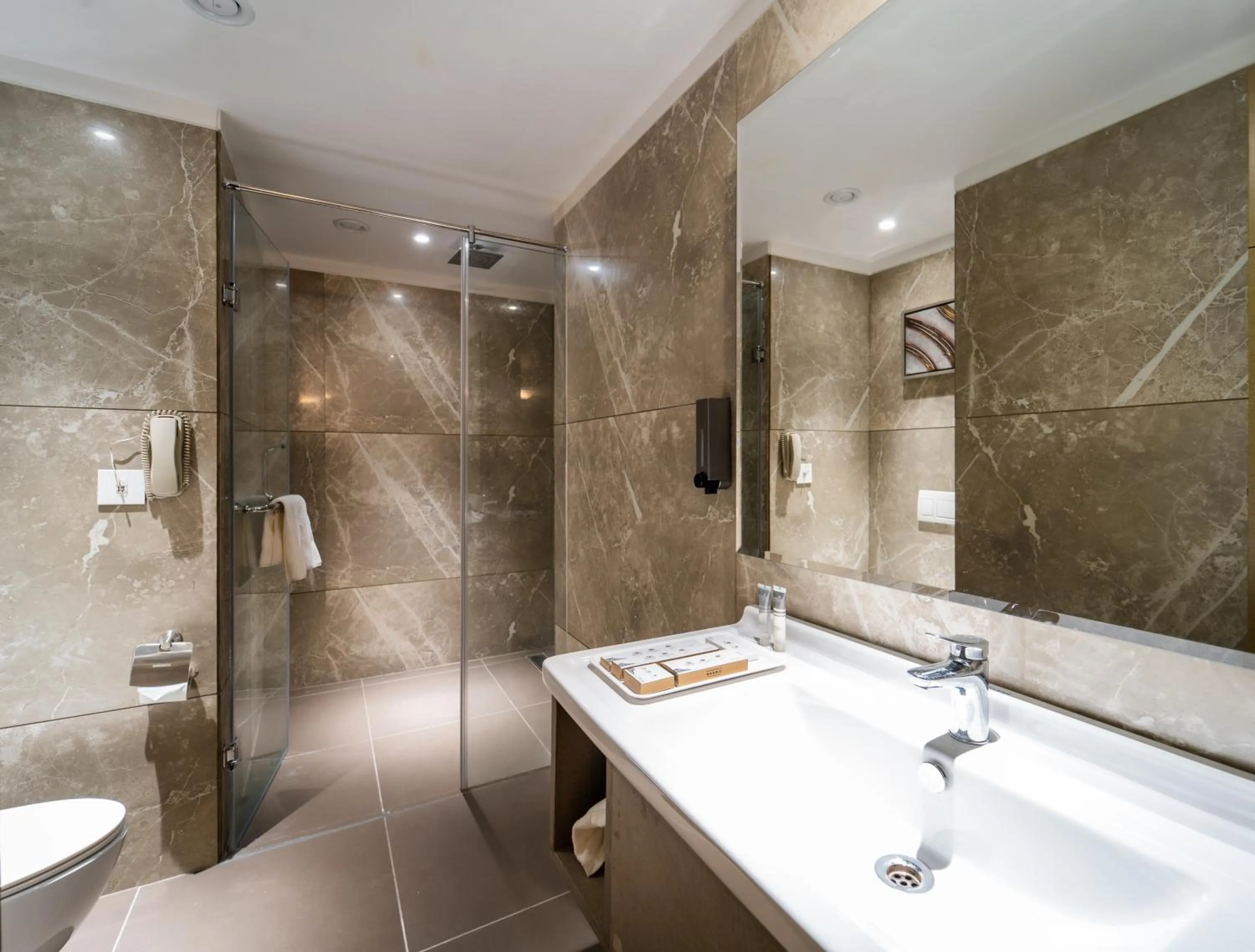 Shower in Sayaji Pune