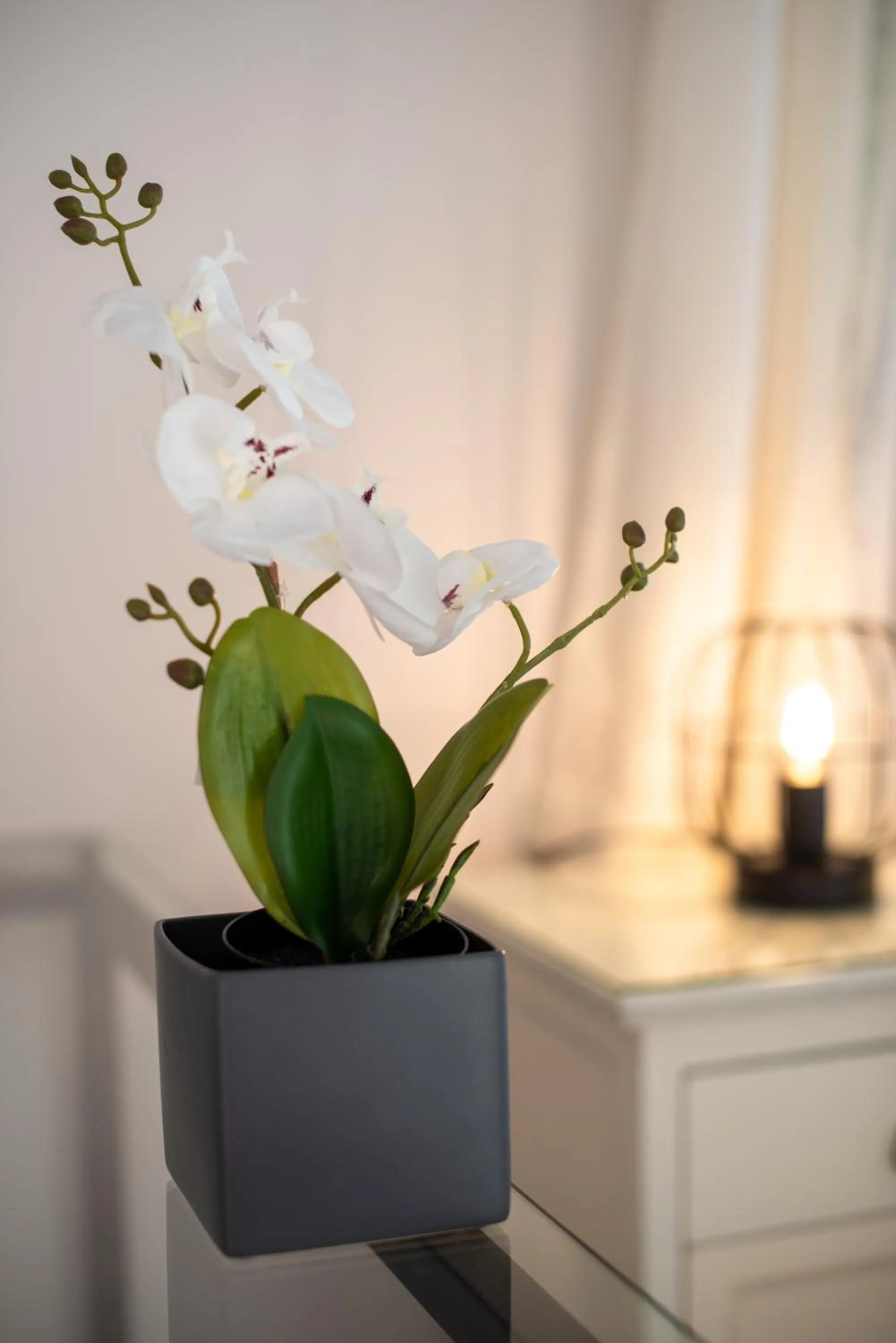 Decorative detail in Portela Suites Kastri