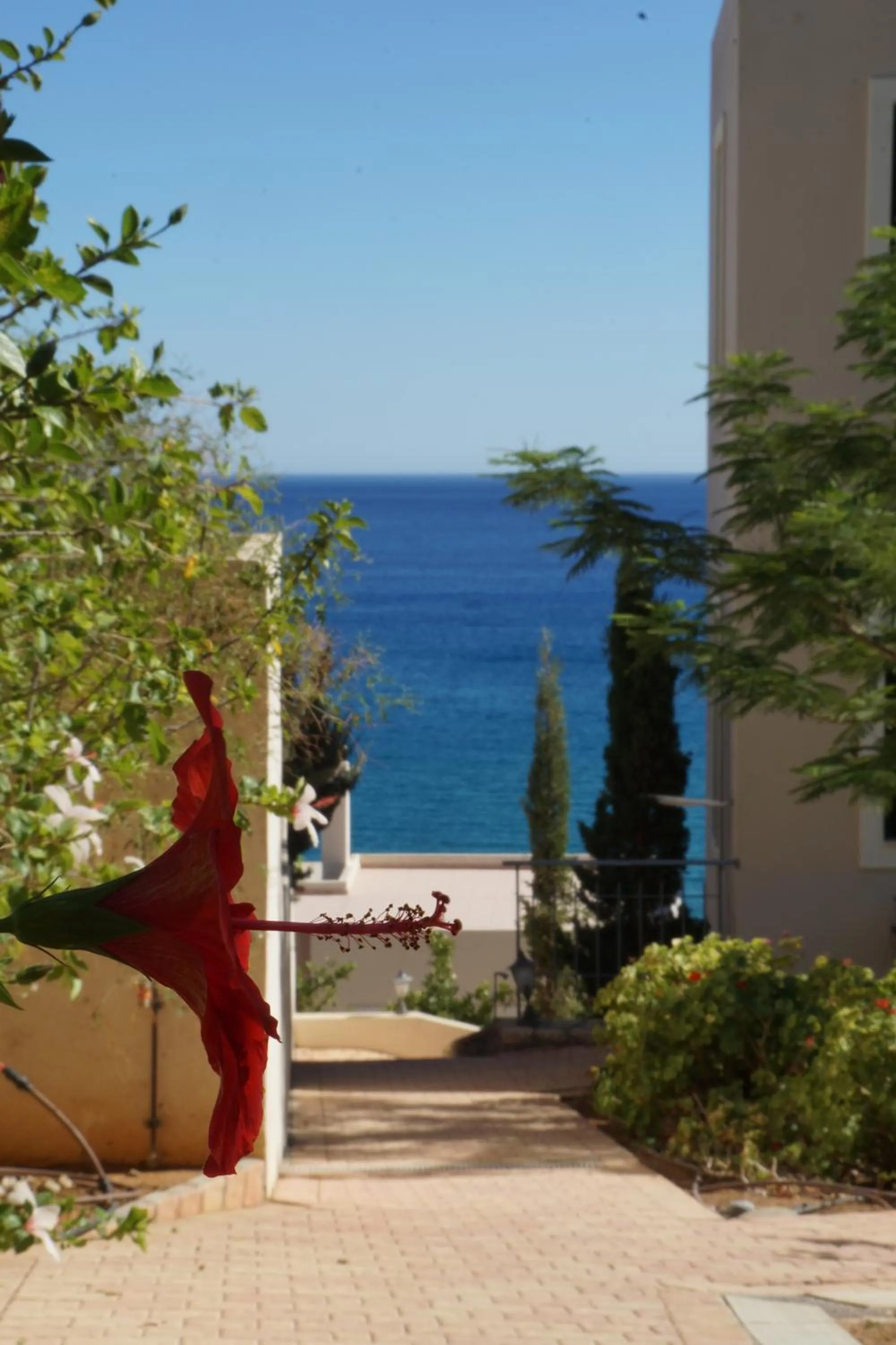 Garden in Portela Suites Kastri