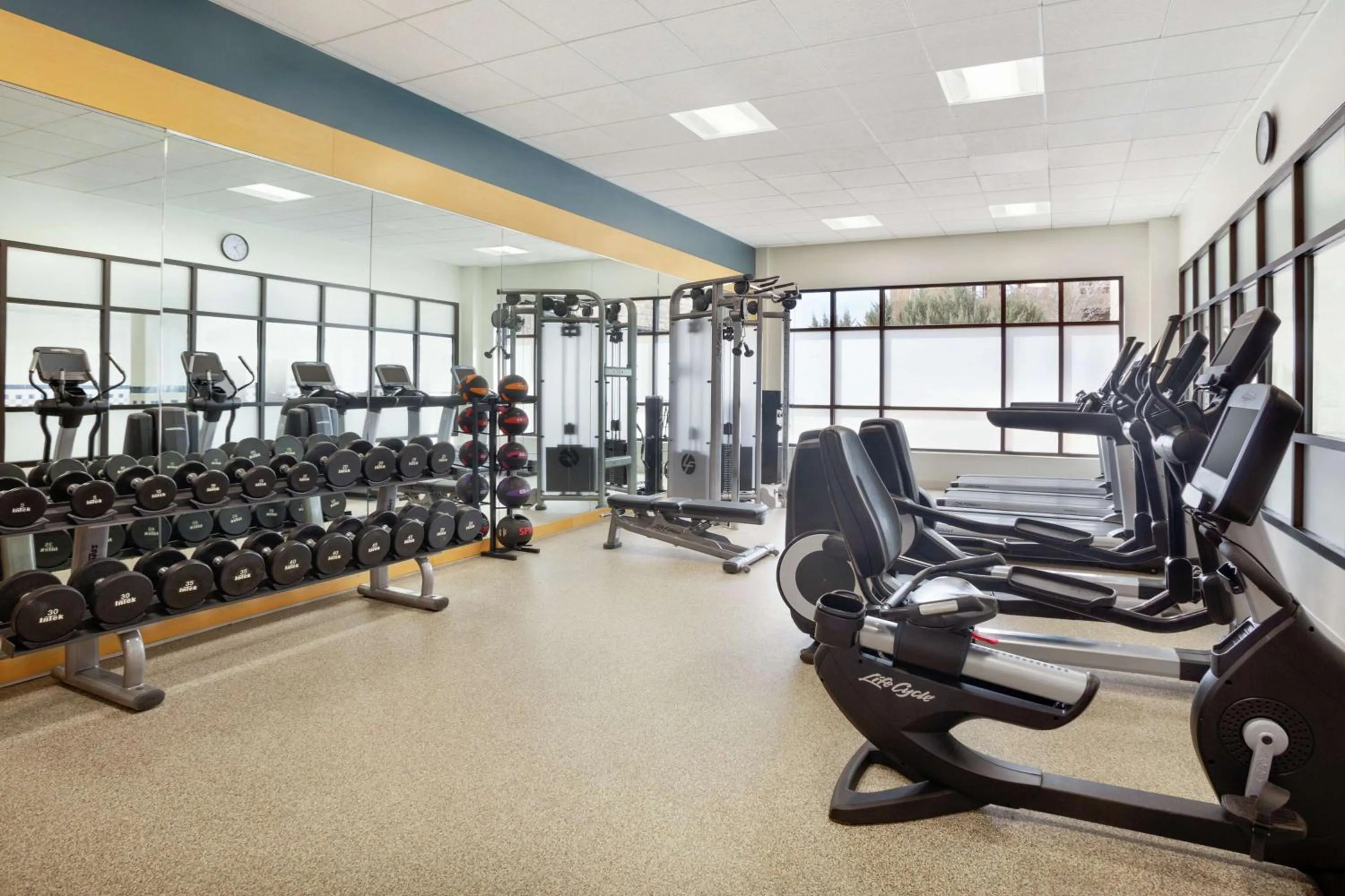 Fitness centre/facilities in Embassy Suites by Hilton Denver International Airport