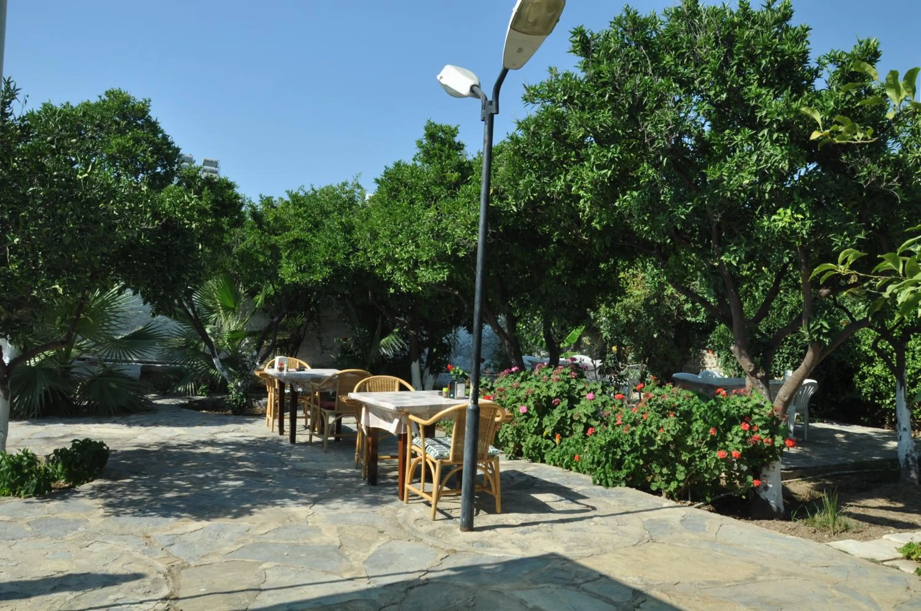 Restaurant/places to eat in Bodrum Blu Hotel