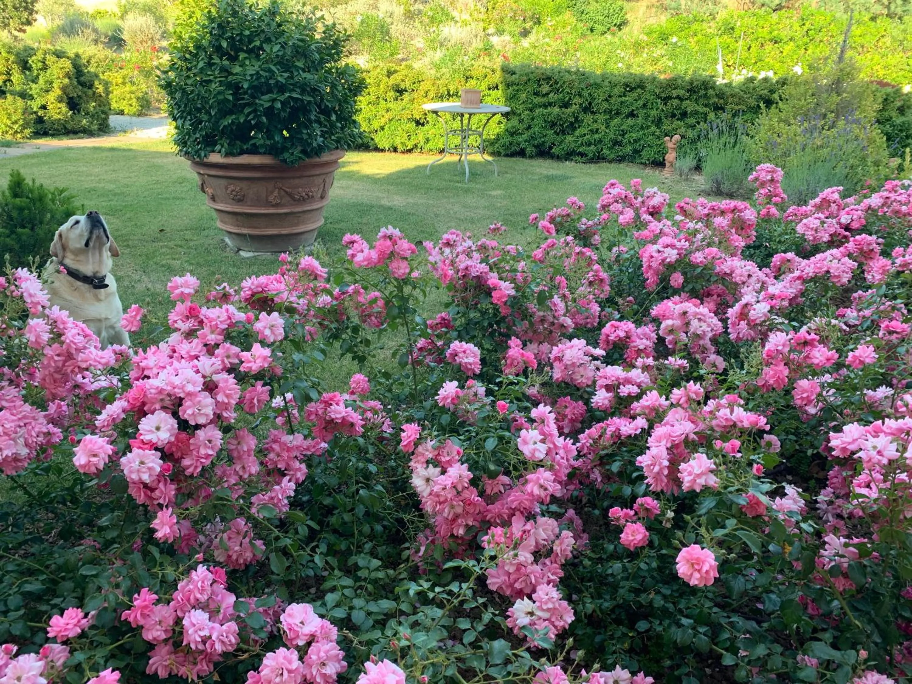 Garden view in Relais Il Margarito