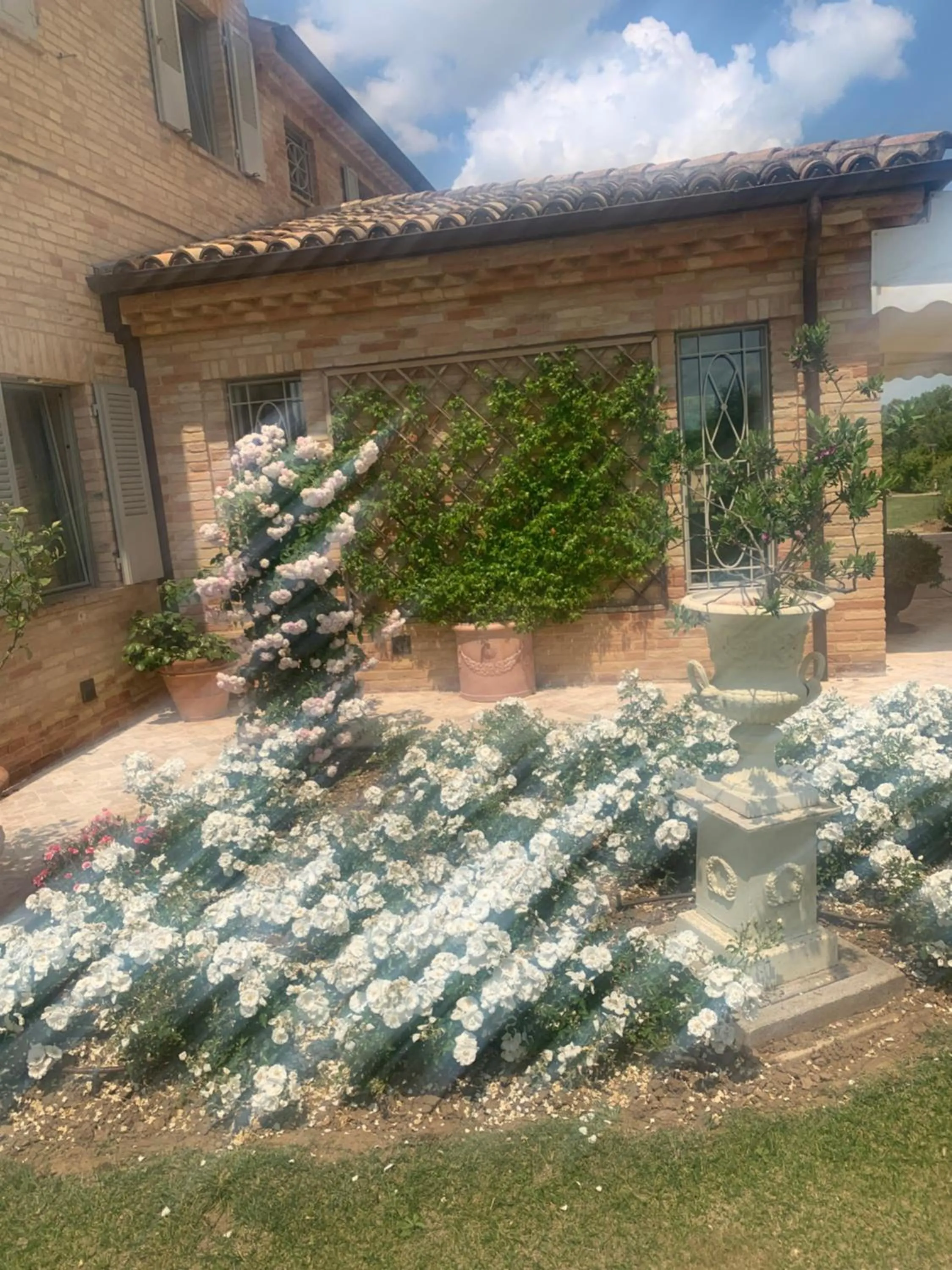 Garden in Relais Il Margarito