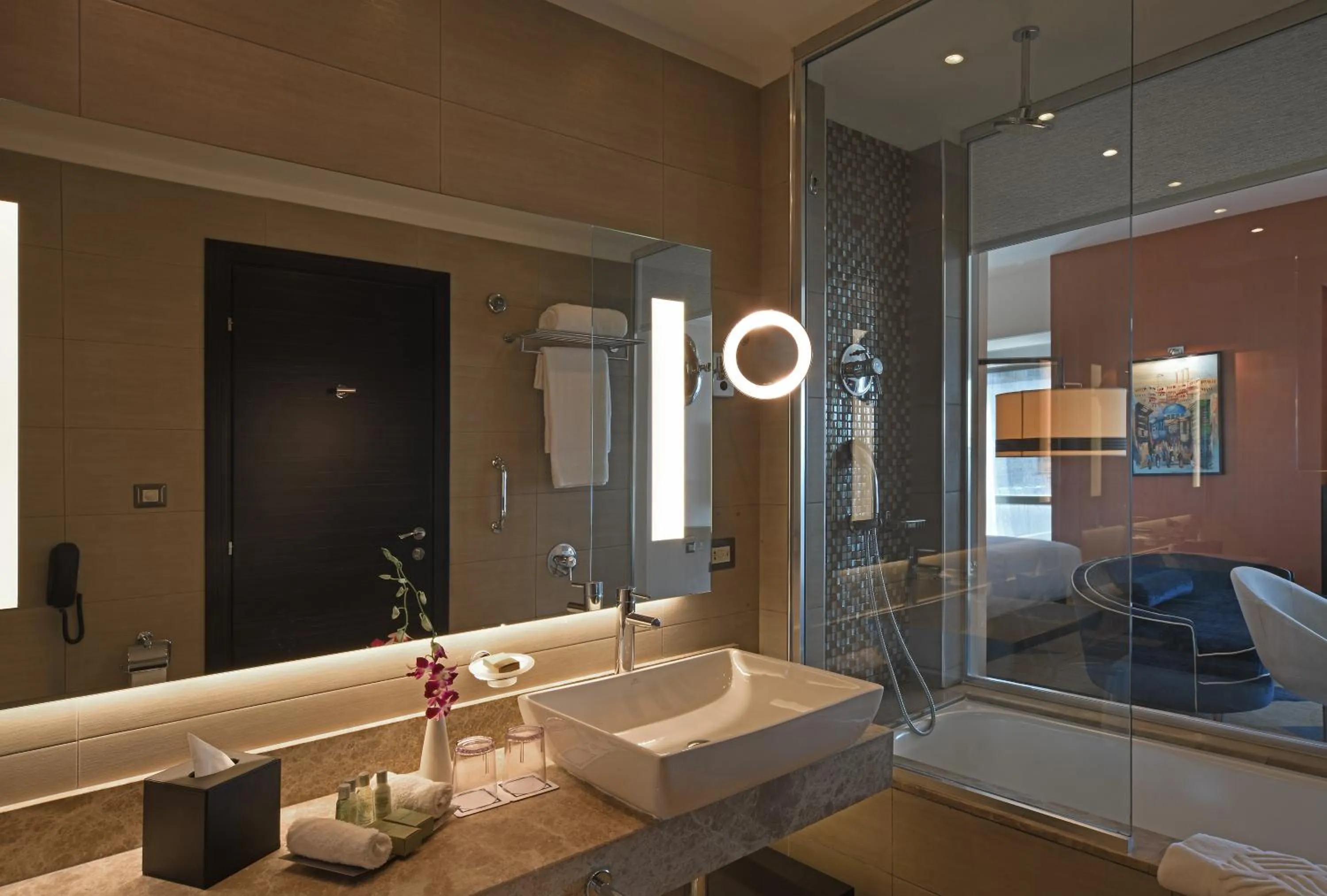 Toilet in Hilton Amman