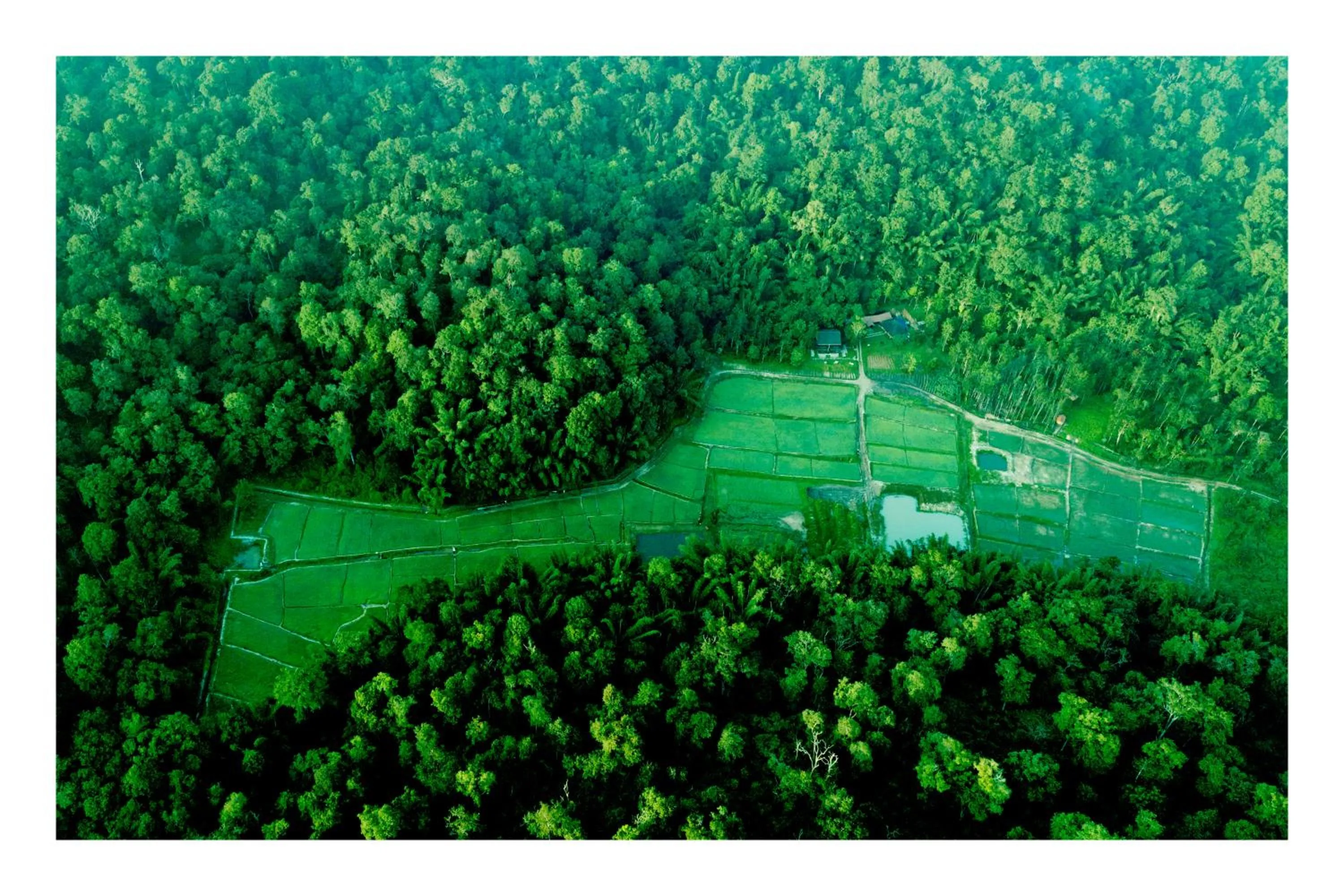 View (from property/room) in Vayal Veedu