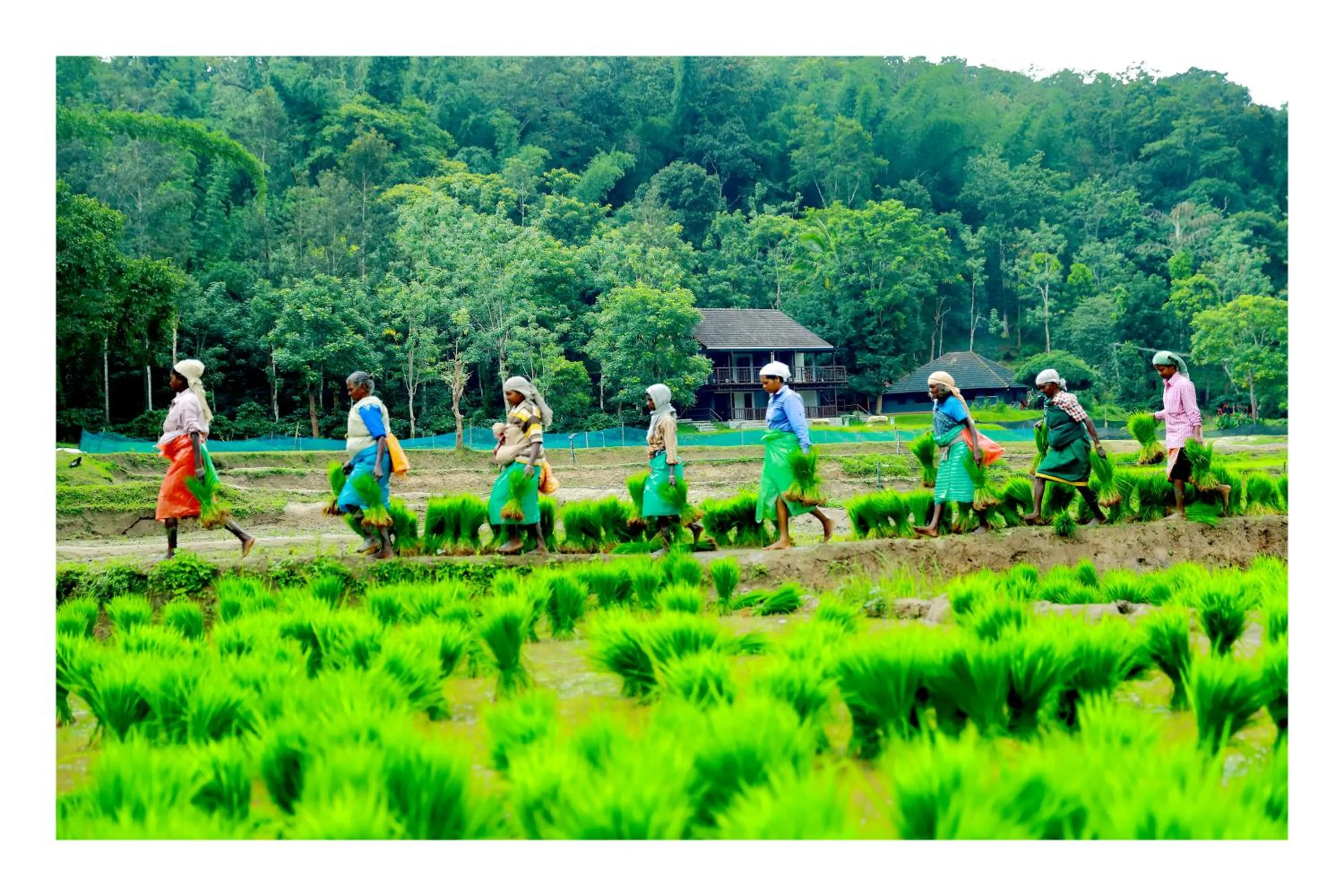 View (from property/room) in Vayal Veedu