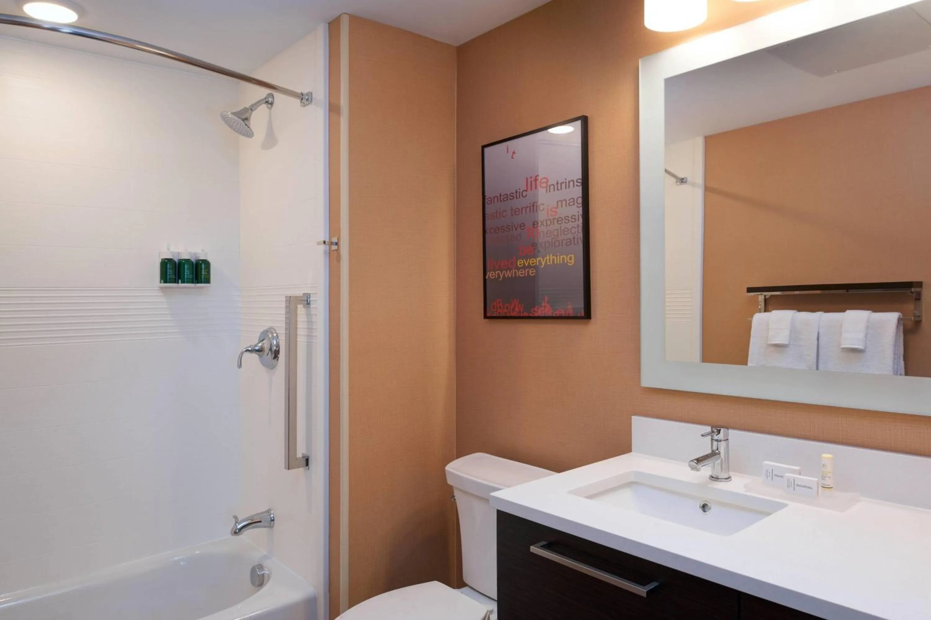 Bathroom in TownePlace Suites by Marriott Grand Rapids Airport