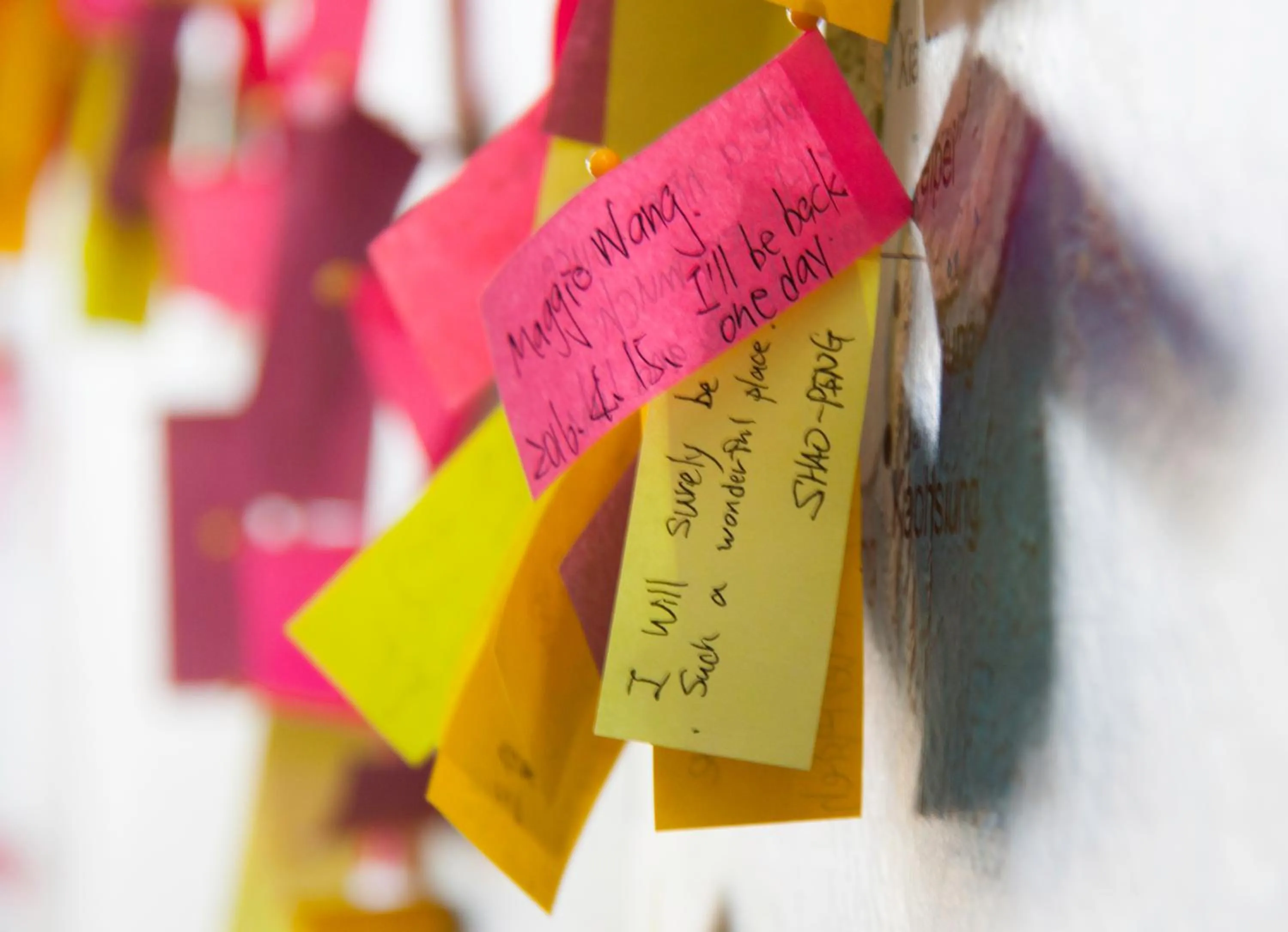 Decorative detail in Auberge Jeunesse à Loulou