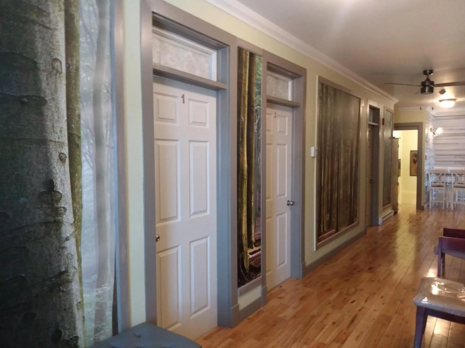 Area and facilities in Auberge Jeunesse à Loulou