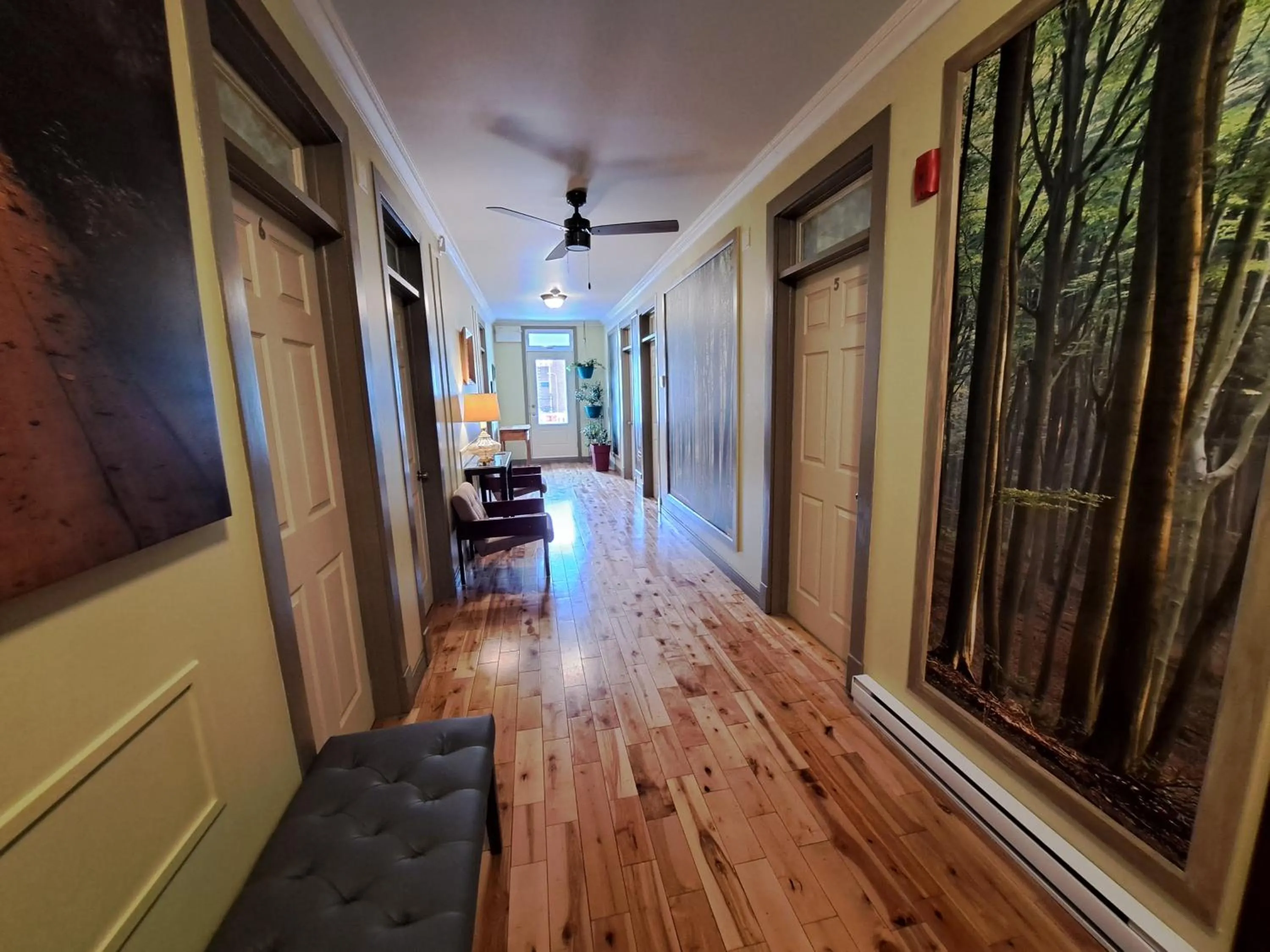 Lobby or reception in Auberge Jeunesse à Loulou