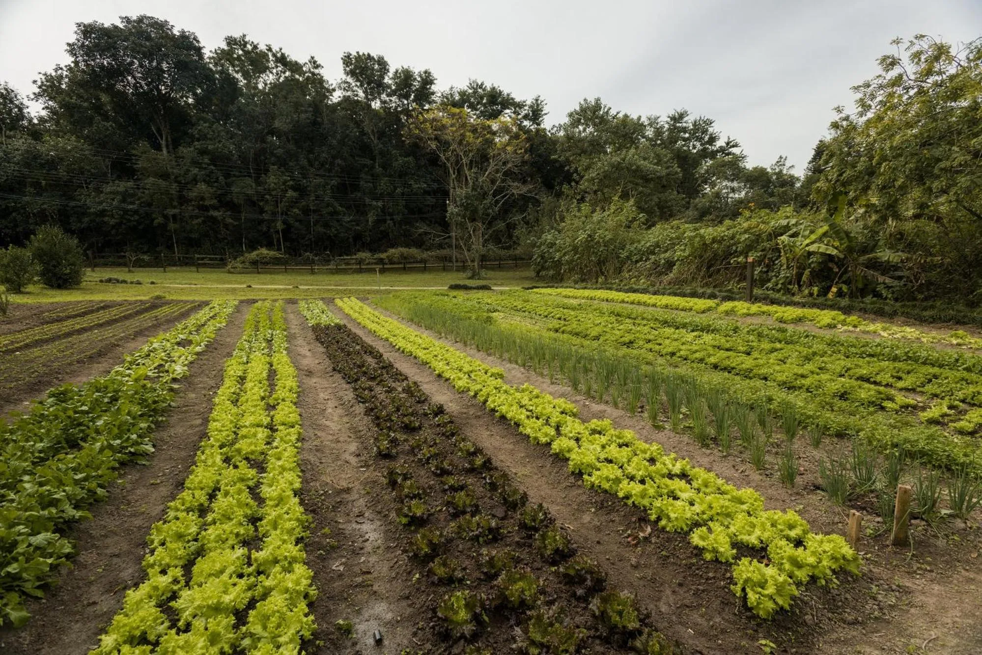 Day in Hotel Internacional Gravatal