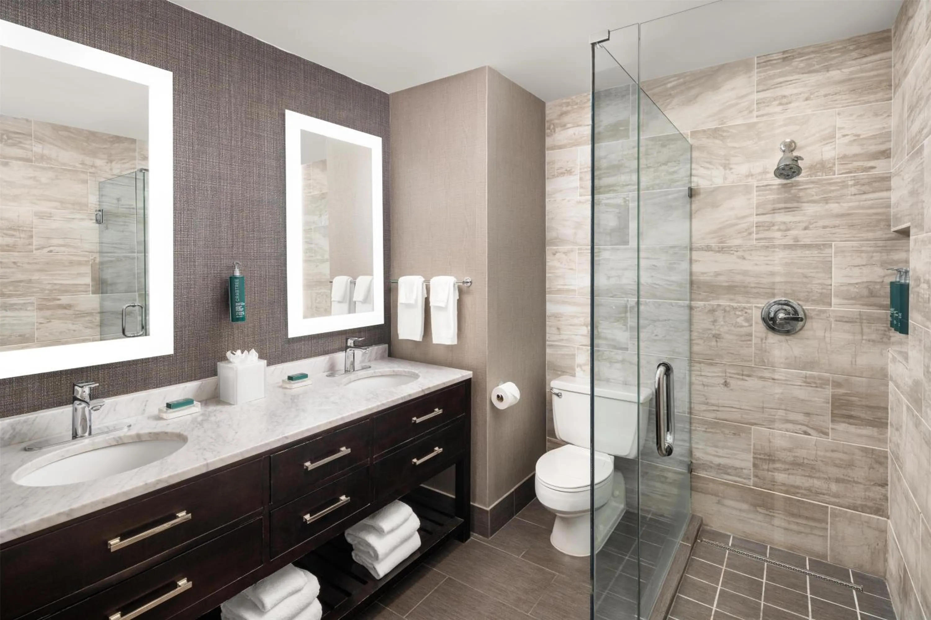 Bathroom in Hilton Fort Worth