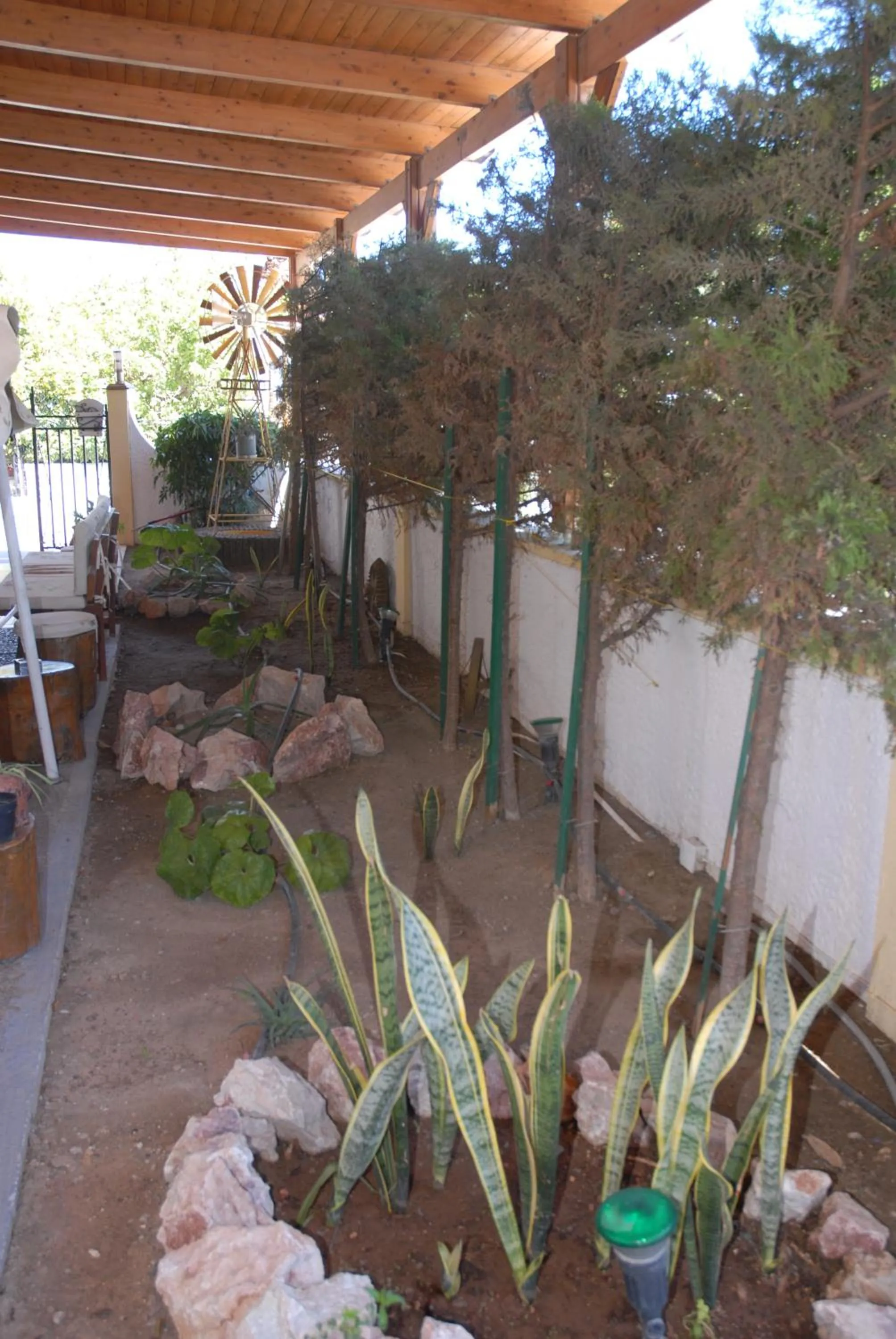 Garden in Takis Hotel Apartments