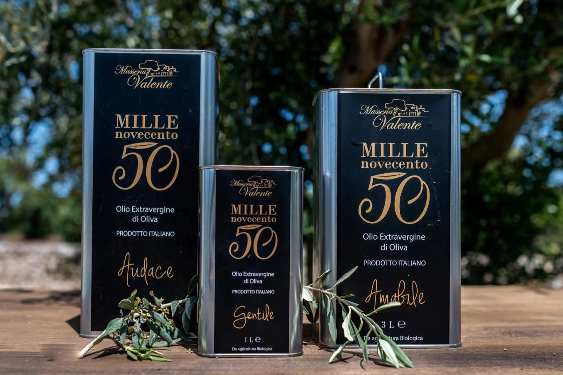 Neighbourhood in Masseria Valente