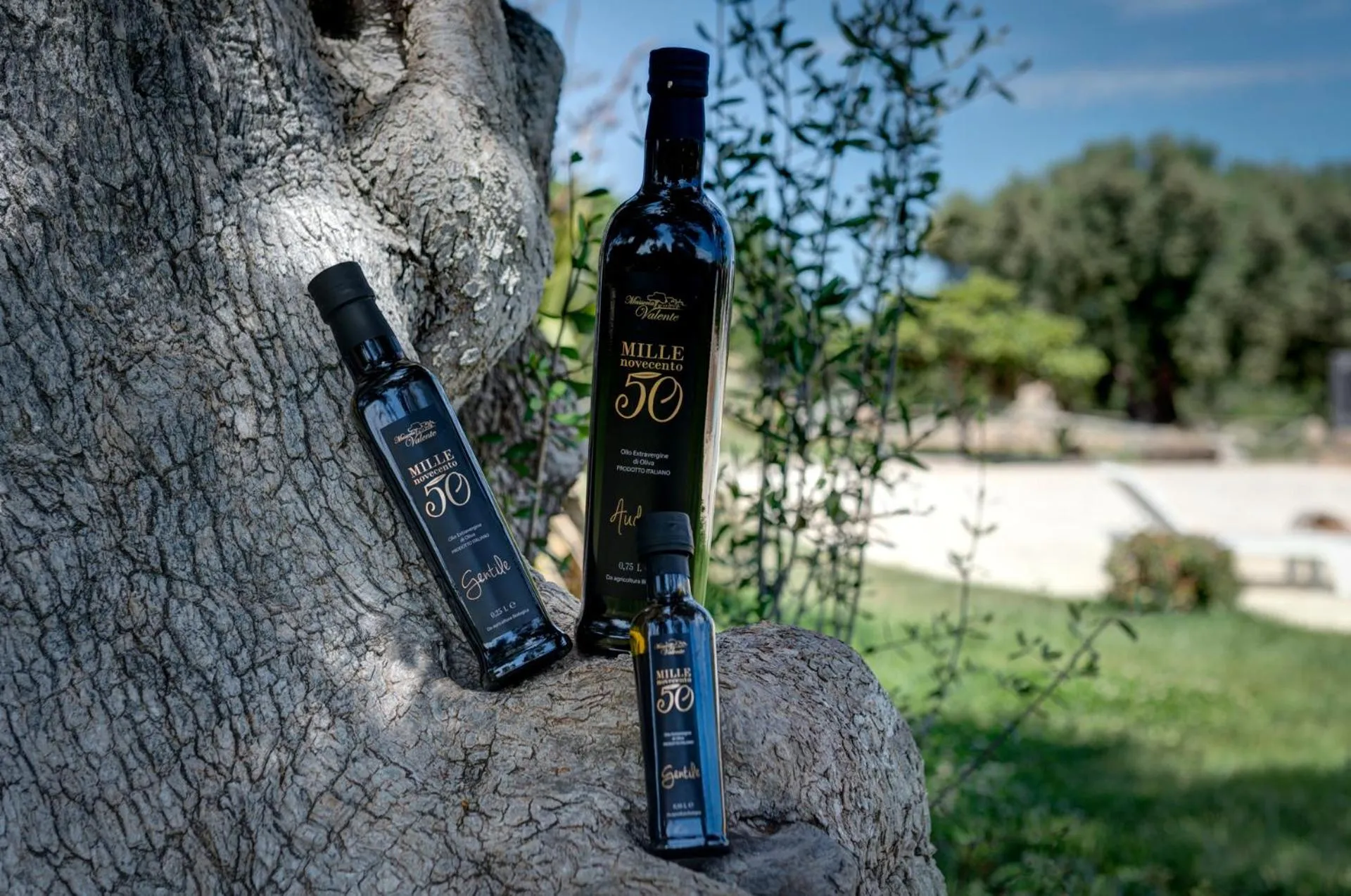 Spring in Masseria Valente