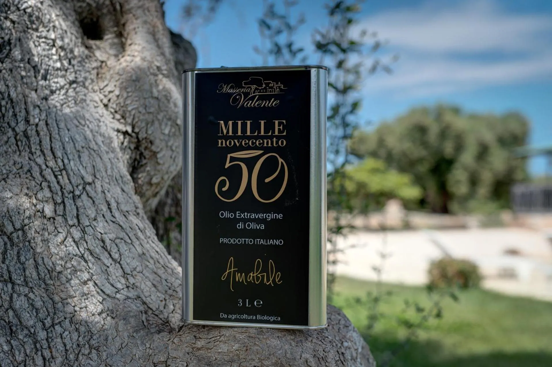 Natural landscape in Masseria Valente