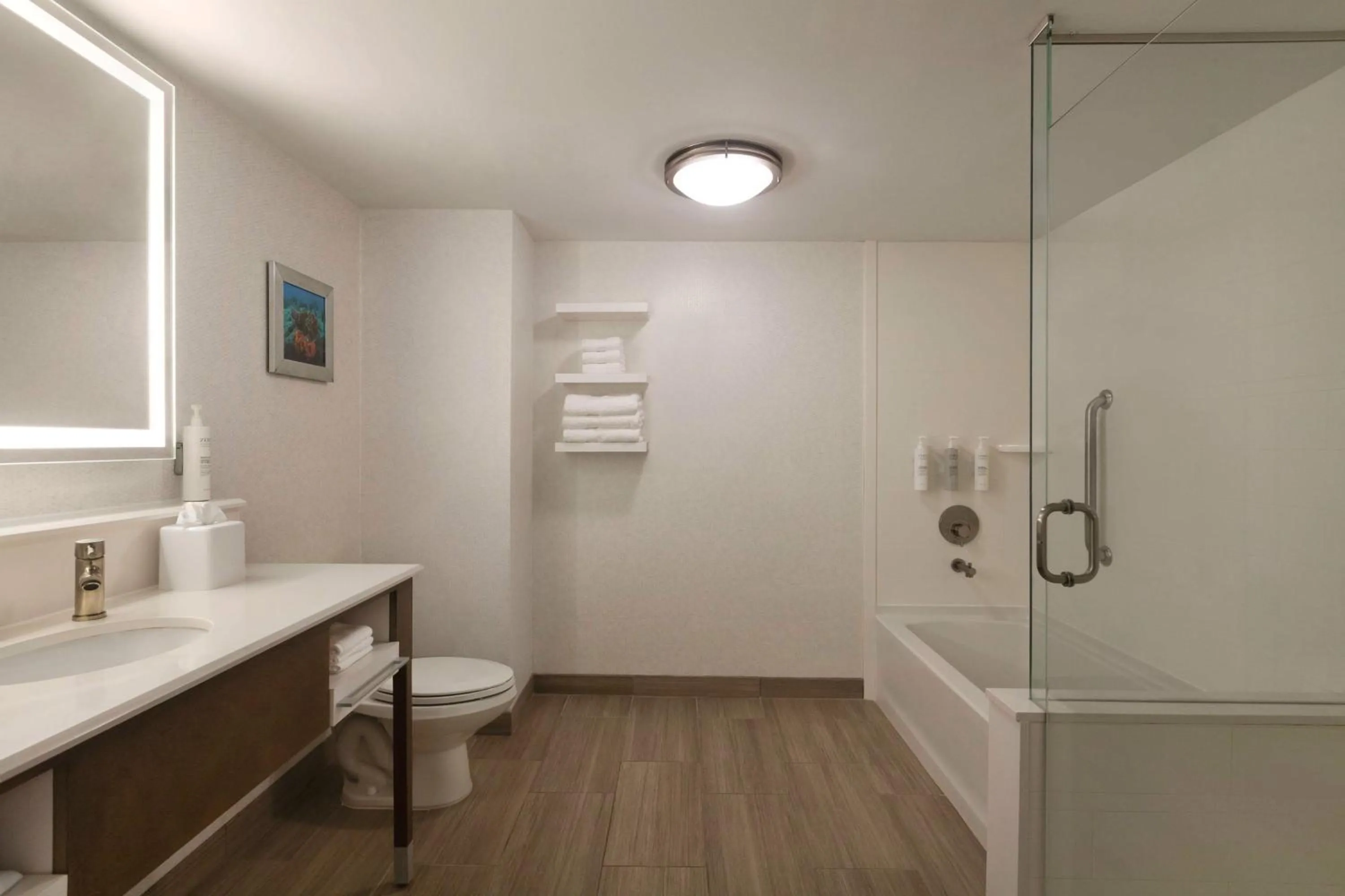 Bathroom in Hampton Inn Pembroke Pines