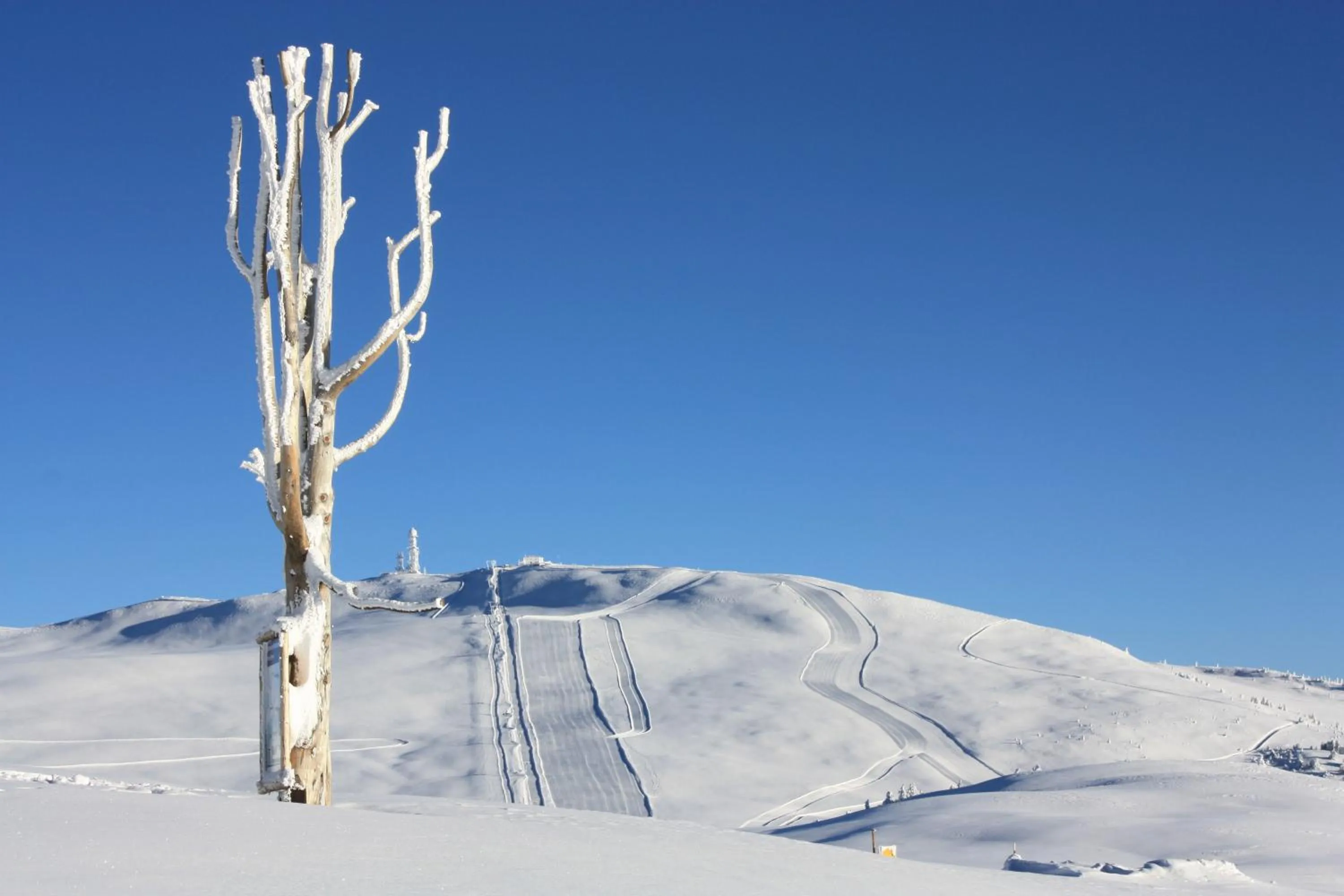 Natural landscape in Hotel Lichtenstern