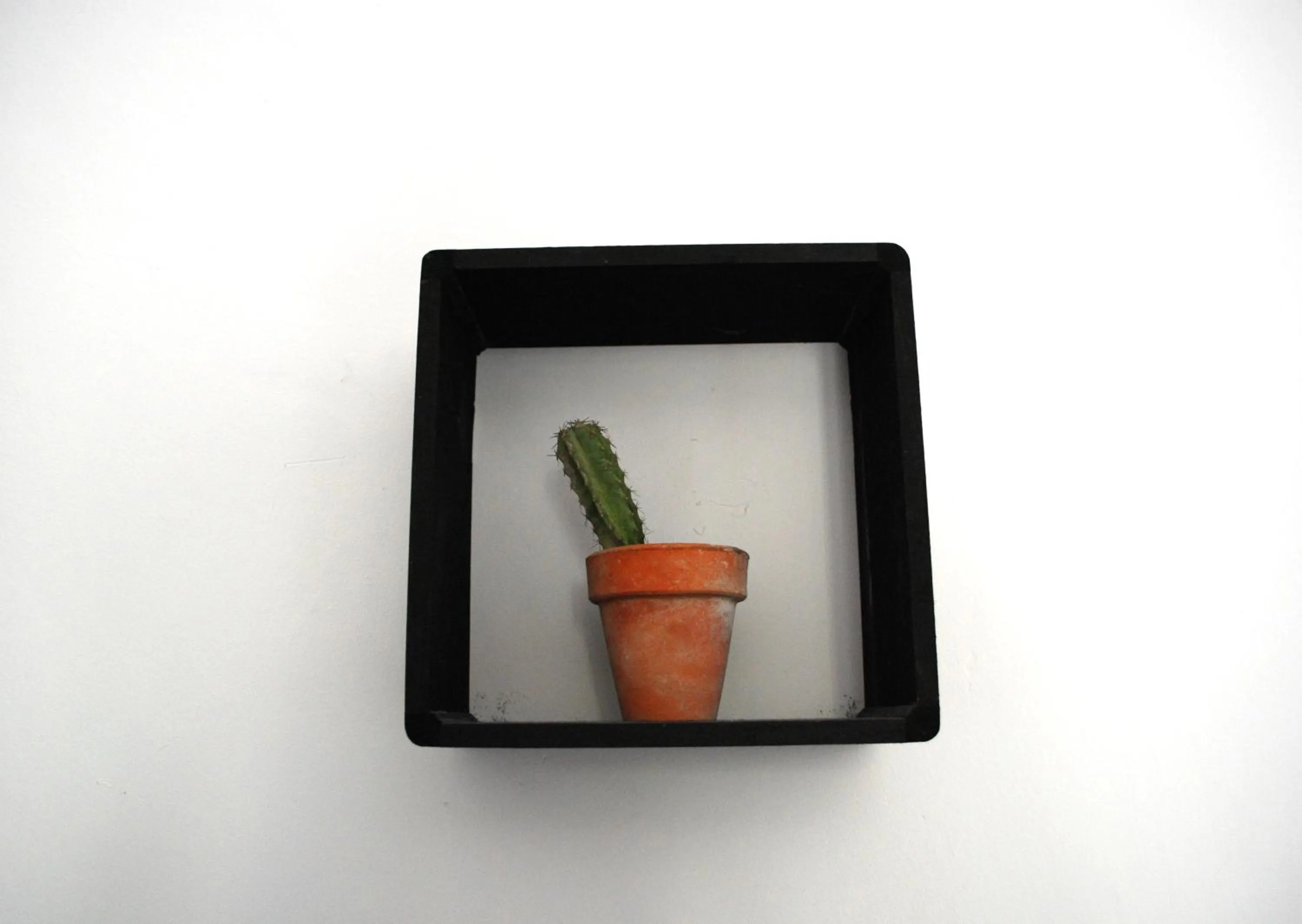 Decorative detail in Le stanze di Alicam