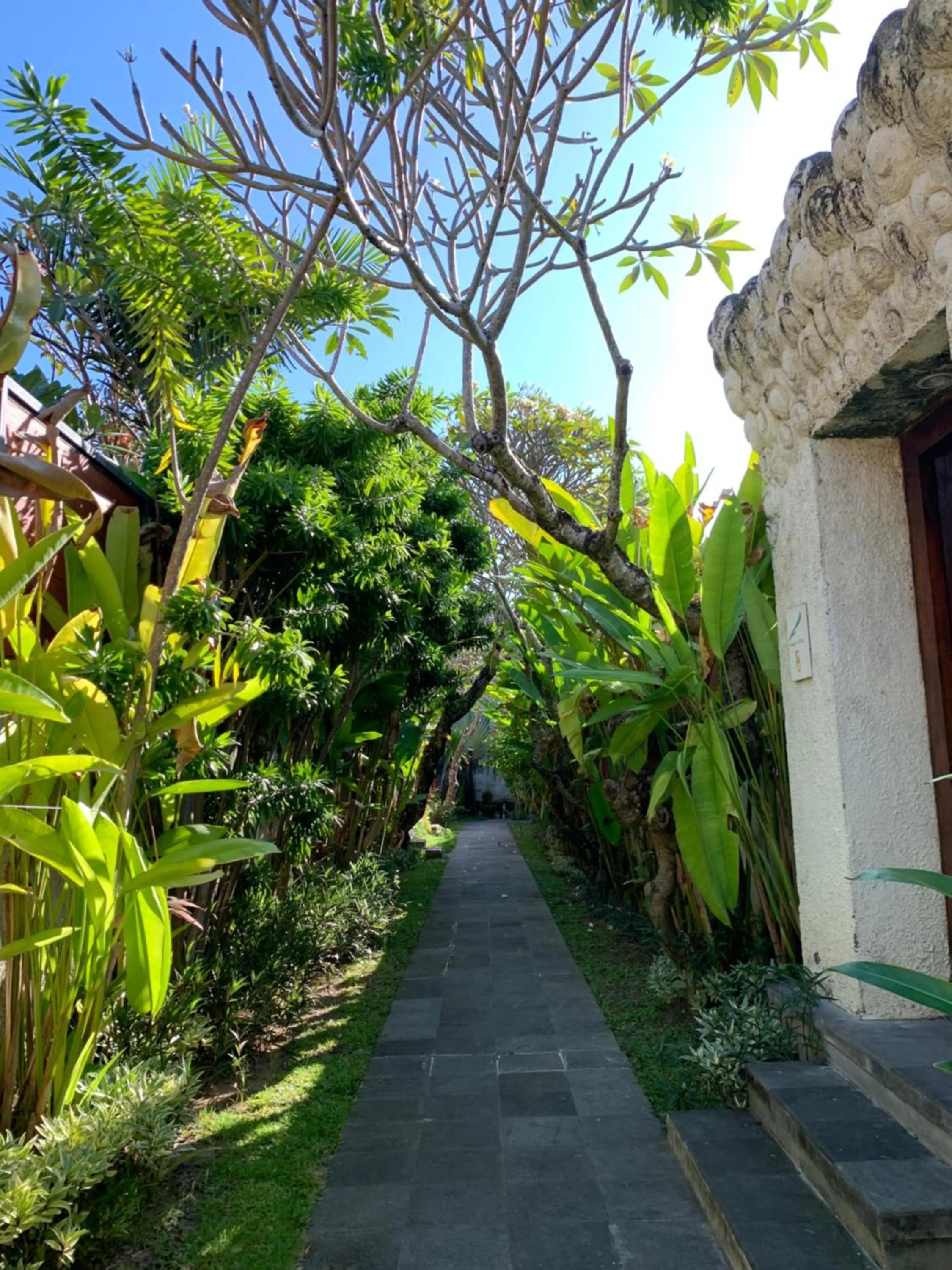 Garden view in The Awan Villas Seminyak