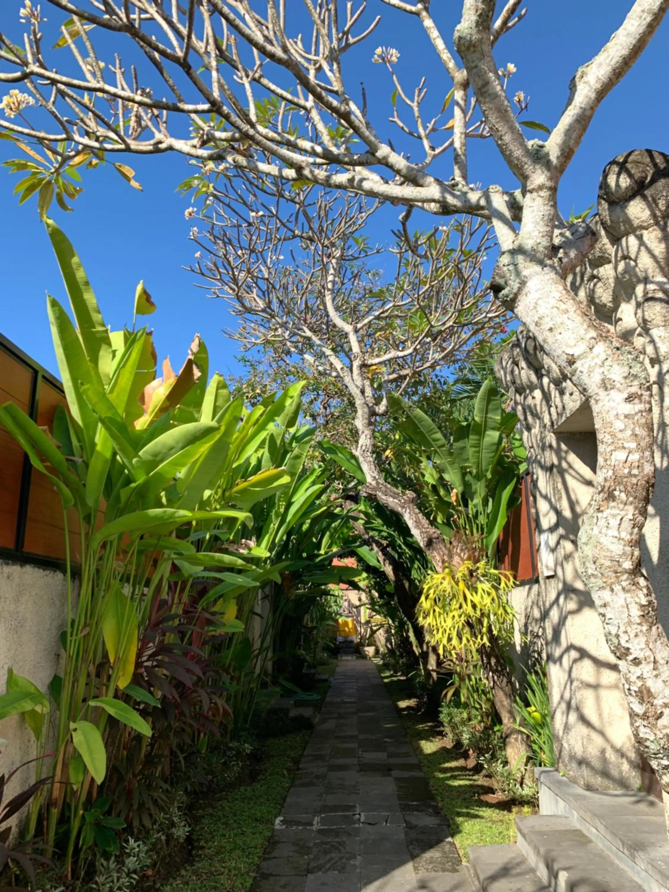 Garden view in The Awan Villas Seminyak