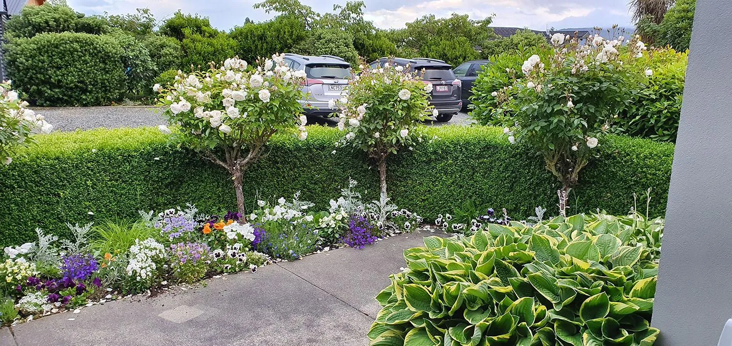 Property building in Dunluce Boutique B&B