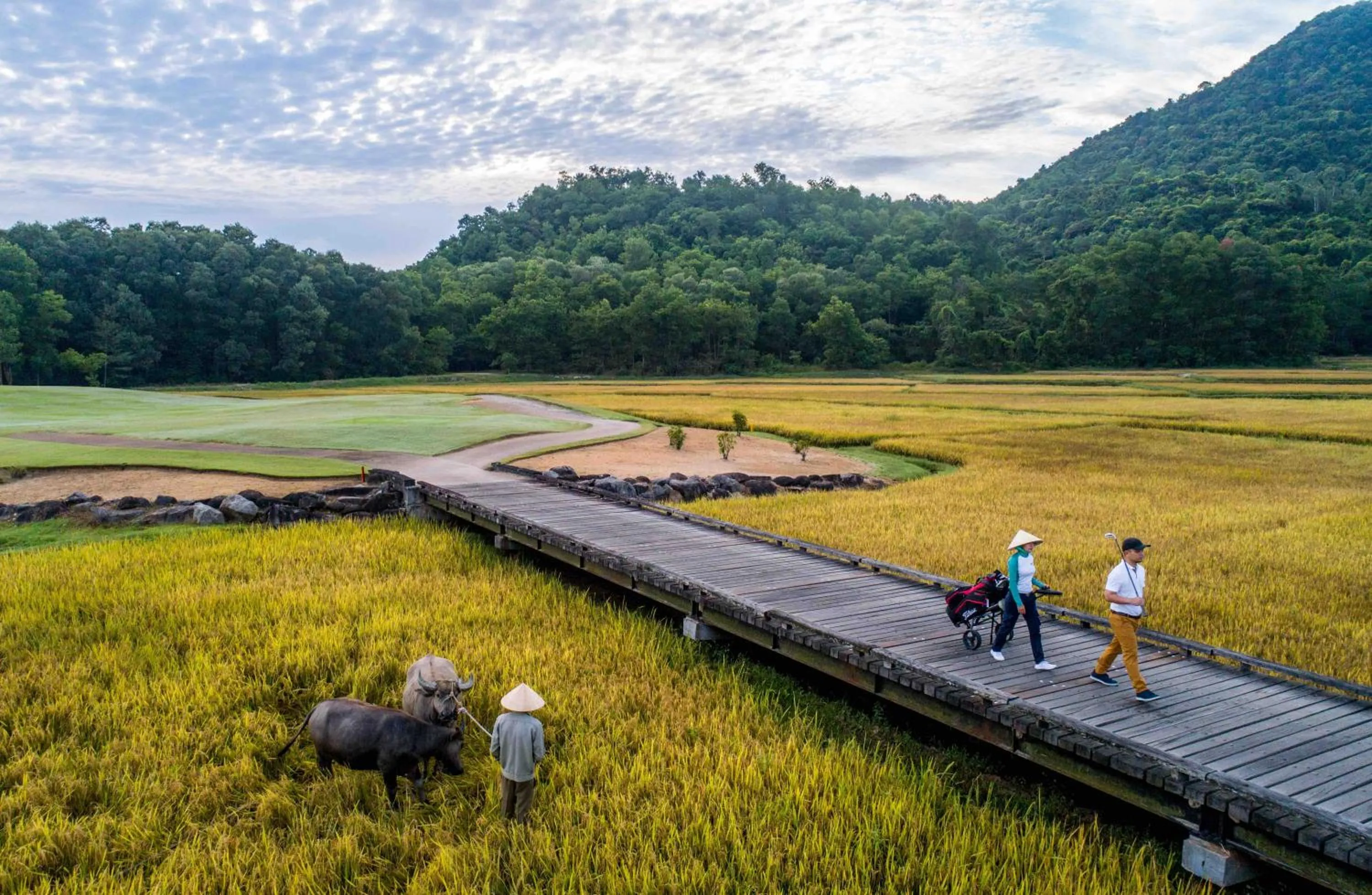 Natural landscape in Banyan Tree Lang Co