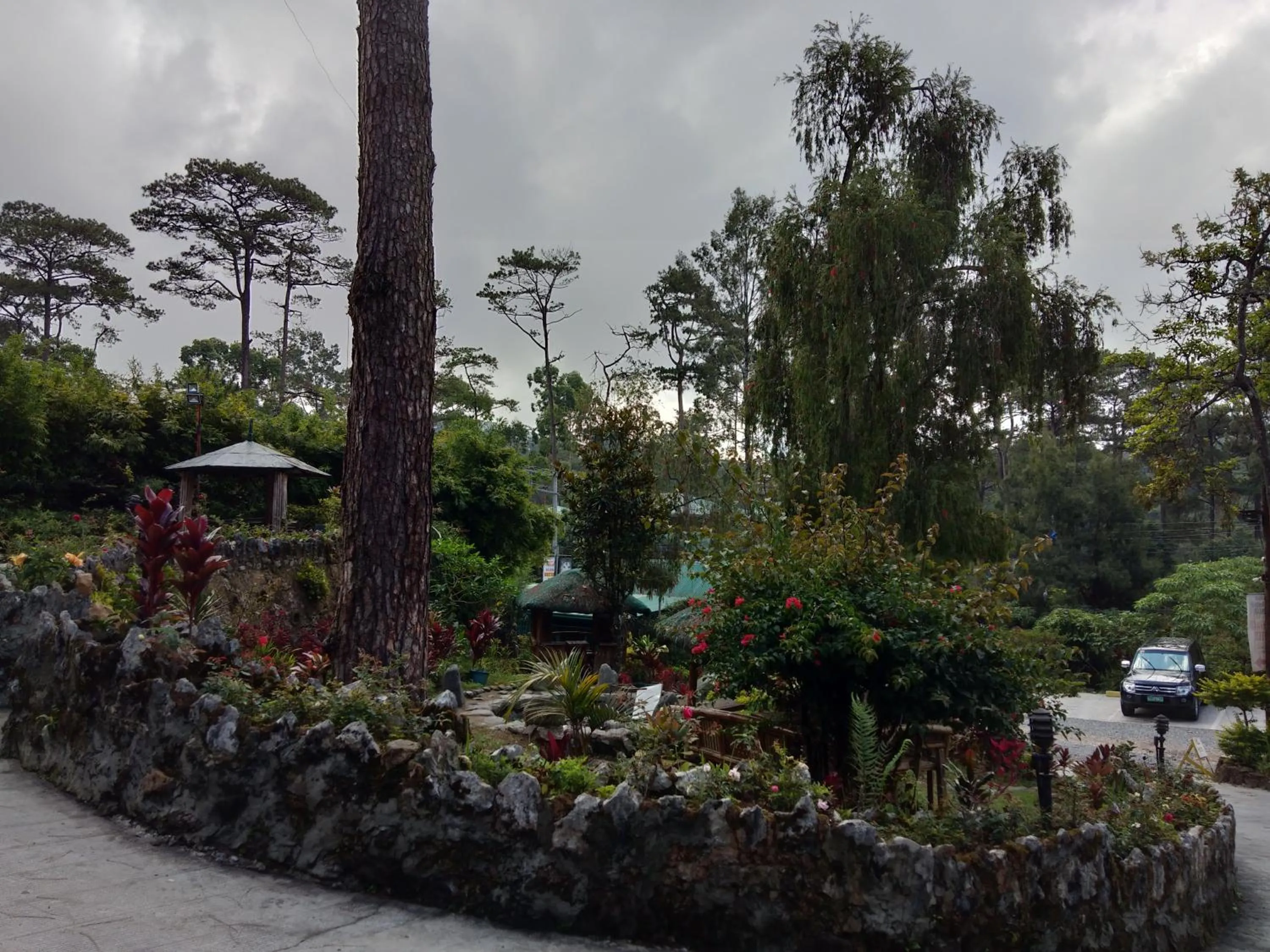 Garden view in Log Cabin Hotel - Baguio