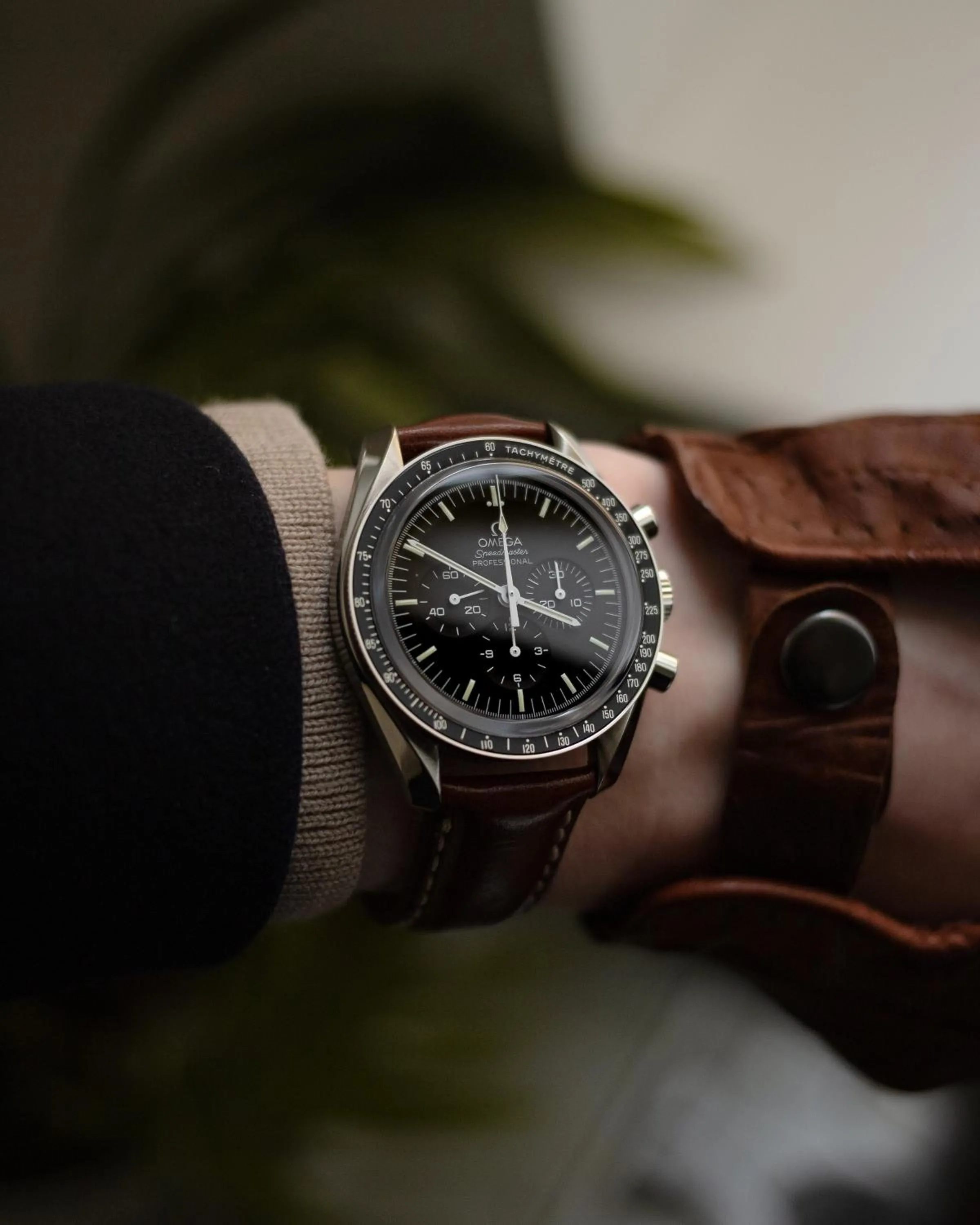 Entertainment in Swiss Luxury Apartments Geneva