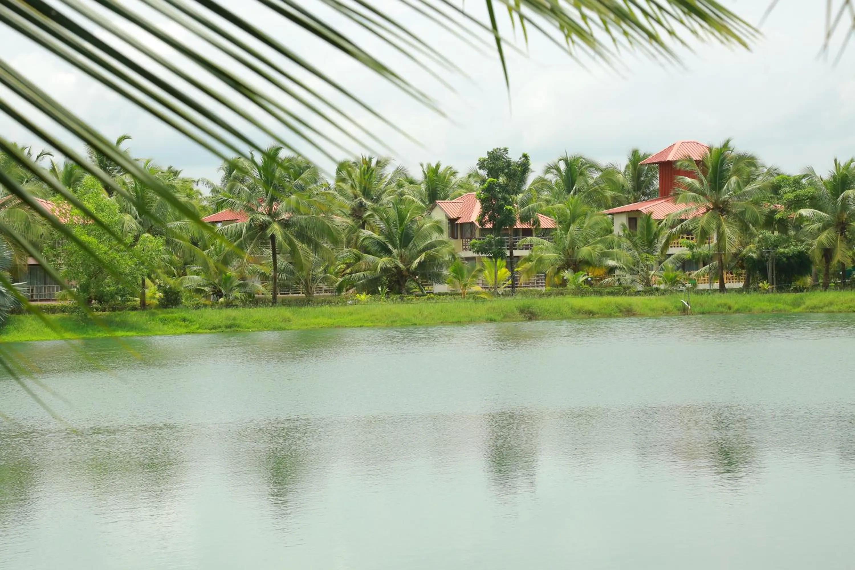 Natural landscape in Kalathil Lake Resort