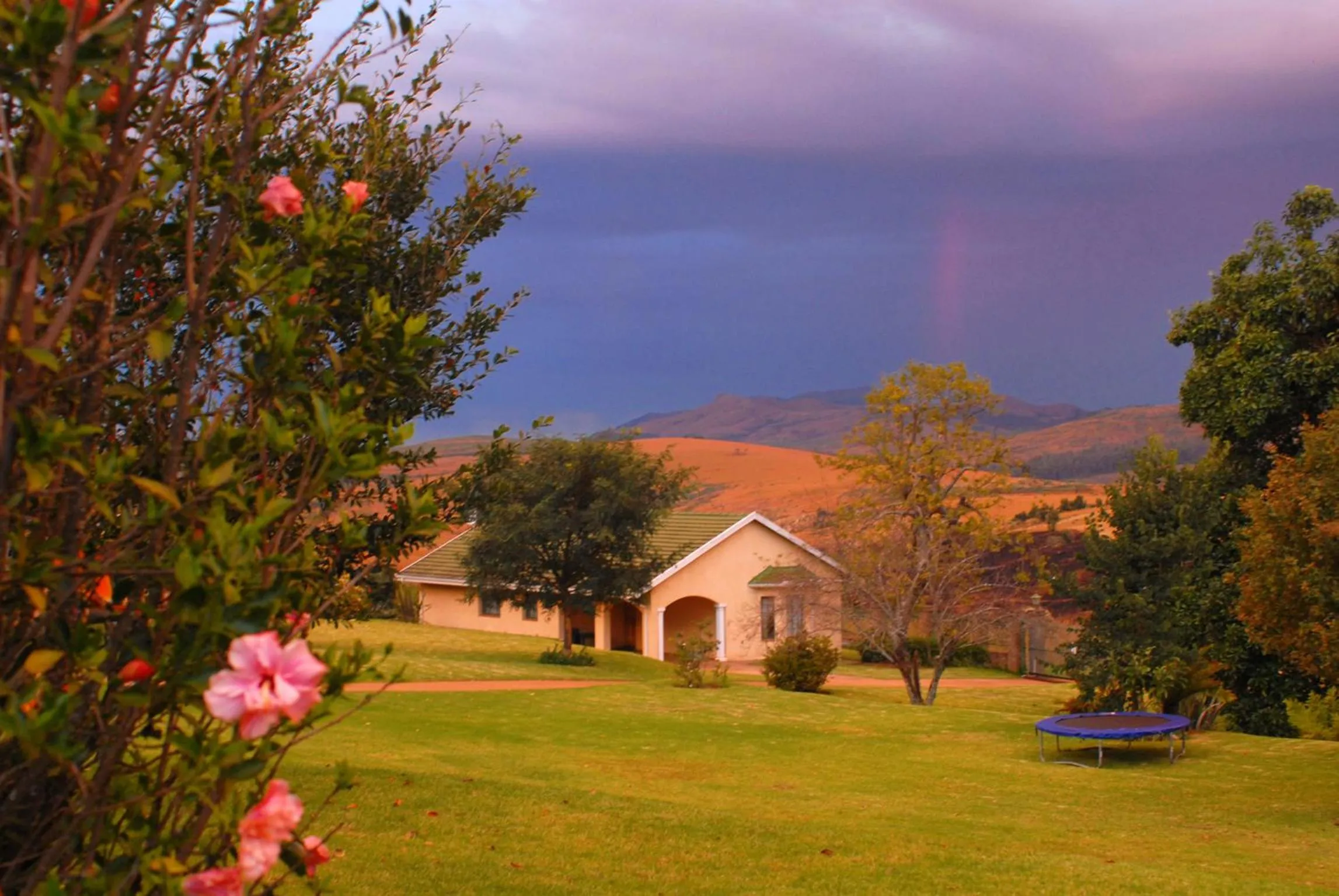 Garden in Thaba Tsweni Lodge & Safaris