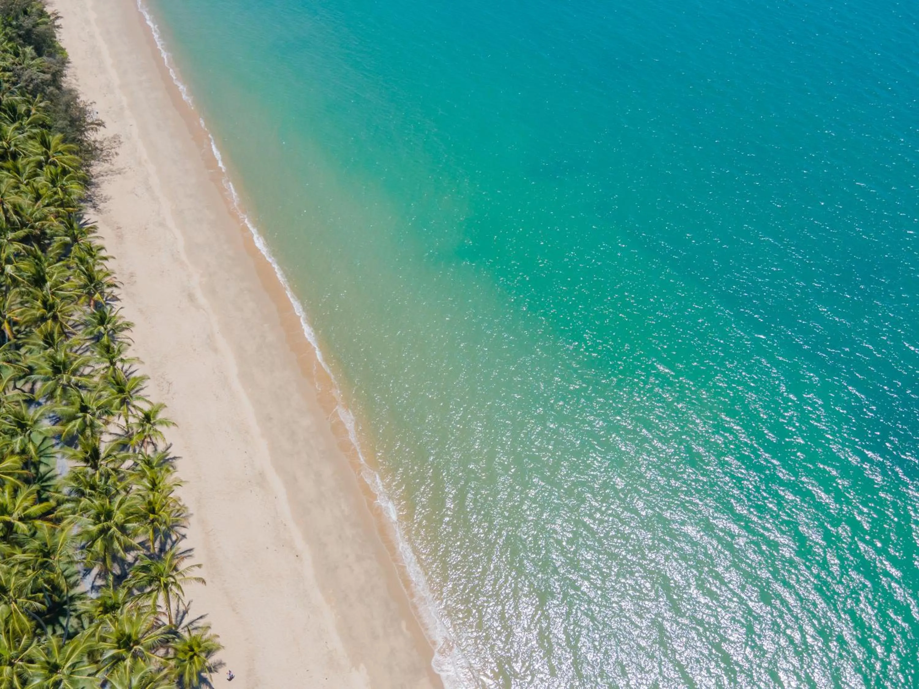 Beach in The Reef Retreat Palm Cove