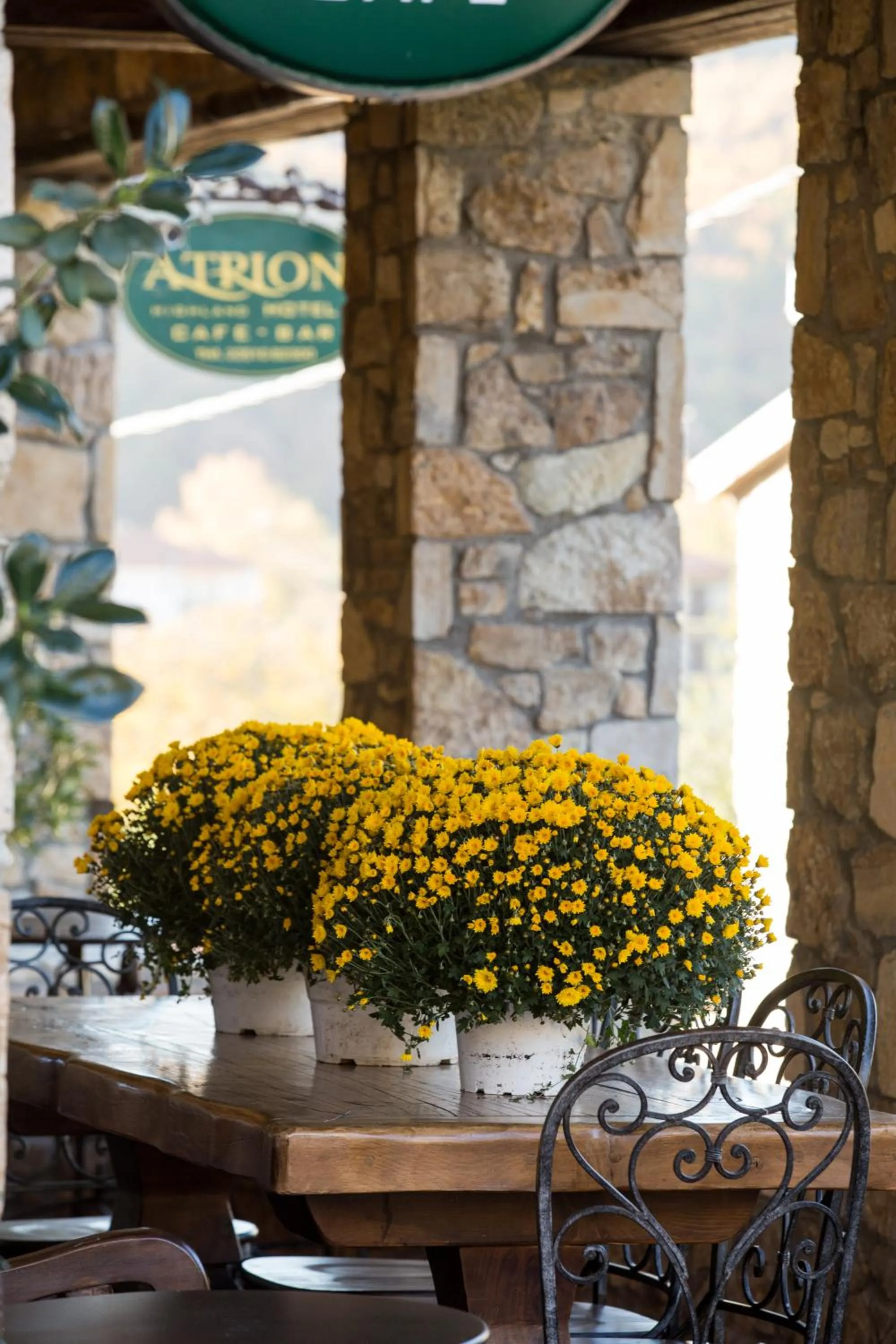 Decorative detail in Atrion Highland Hotel