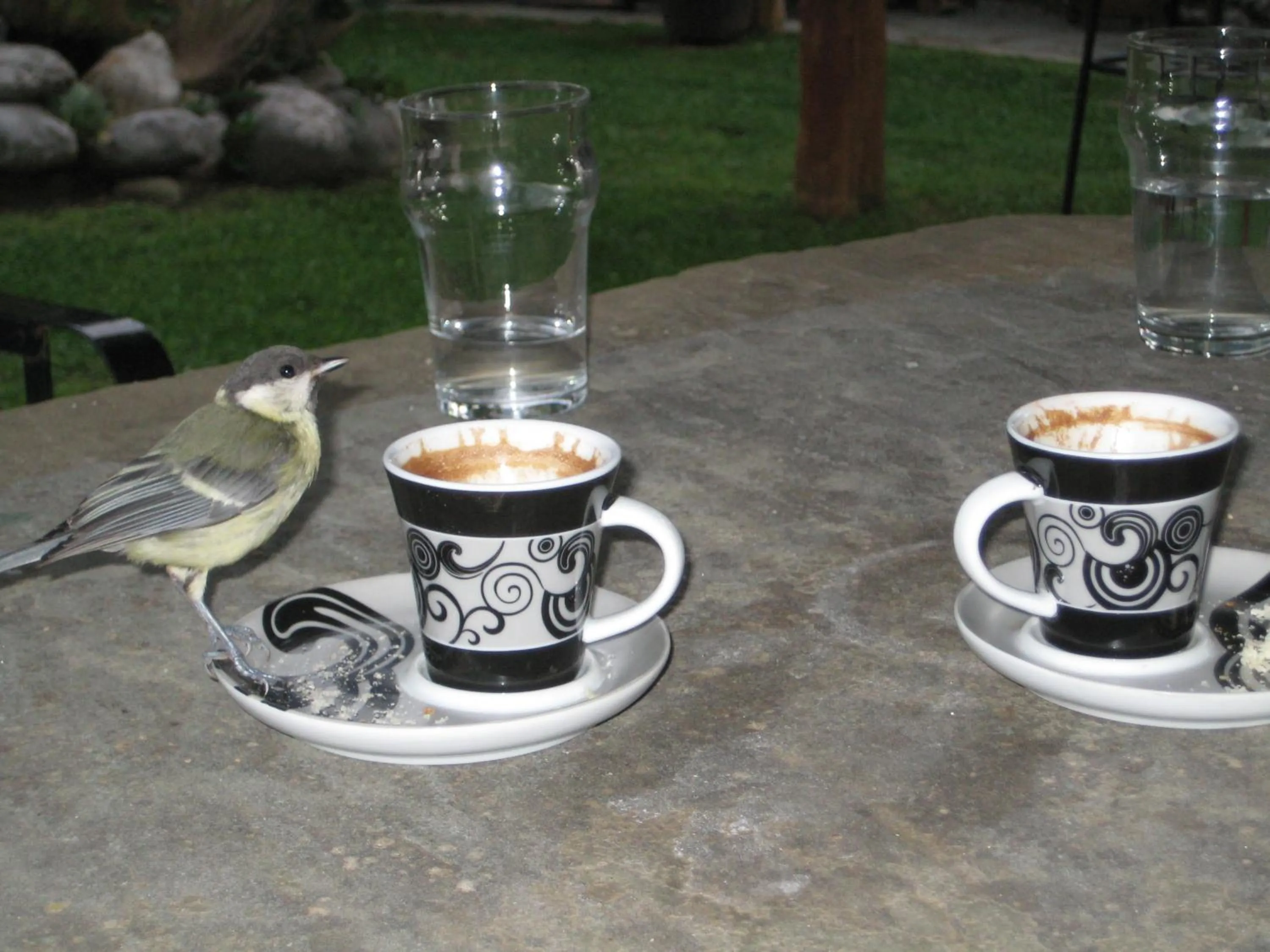 Non alcoholic drinks in Kalliopi