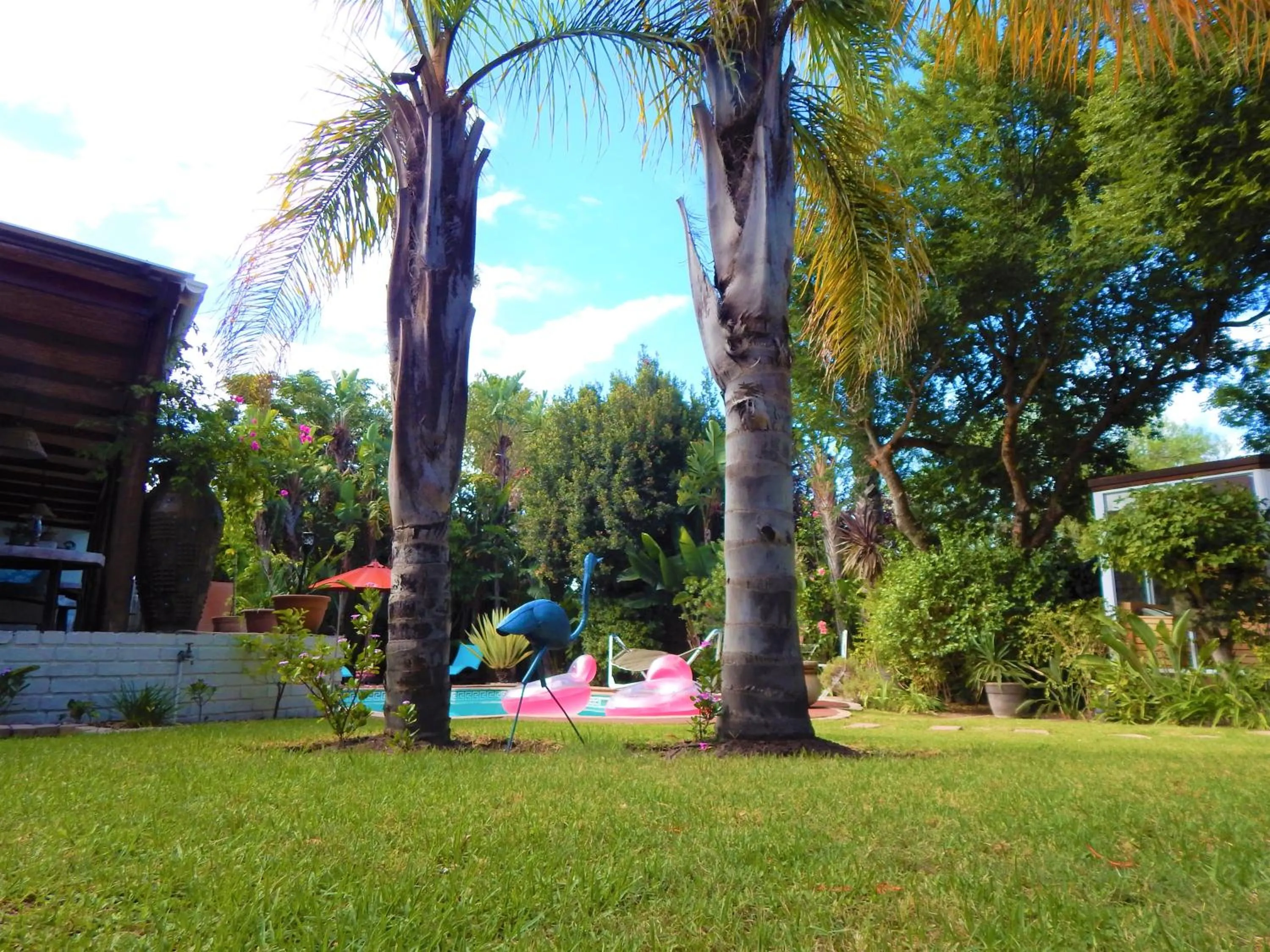 Garden view in Khashamongo B & B